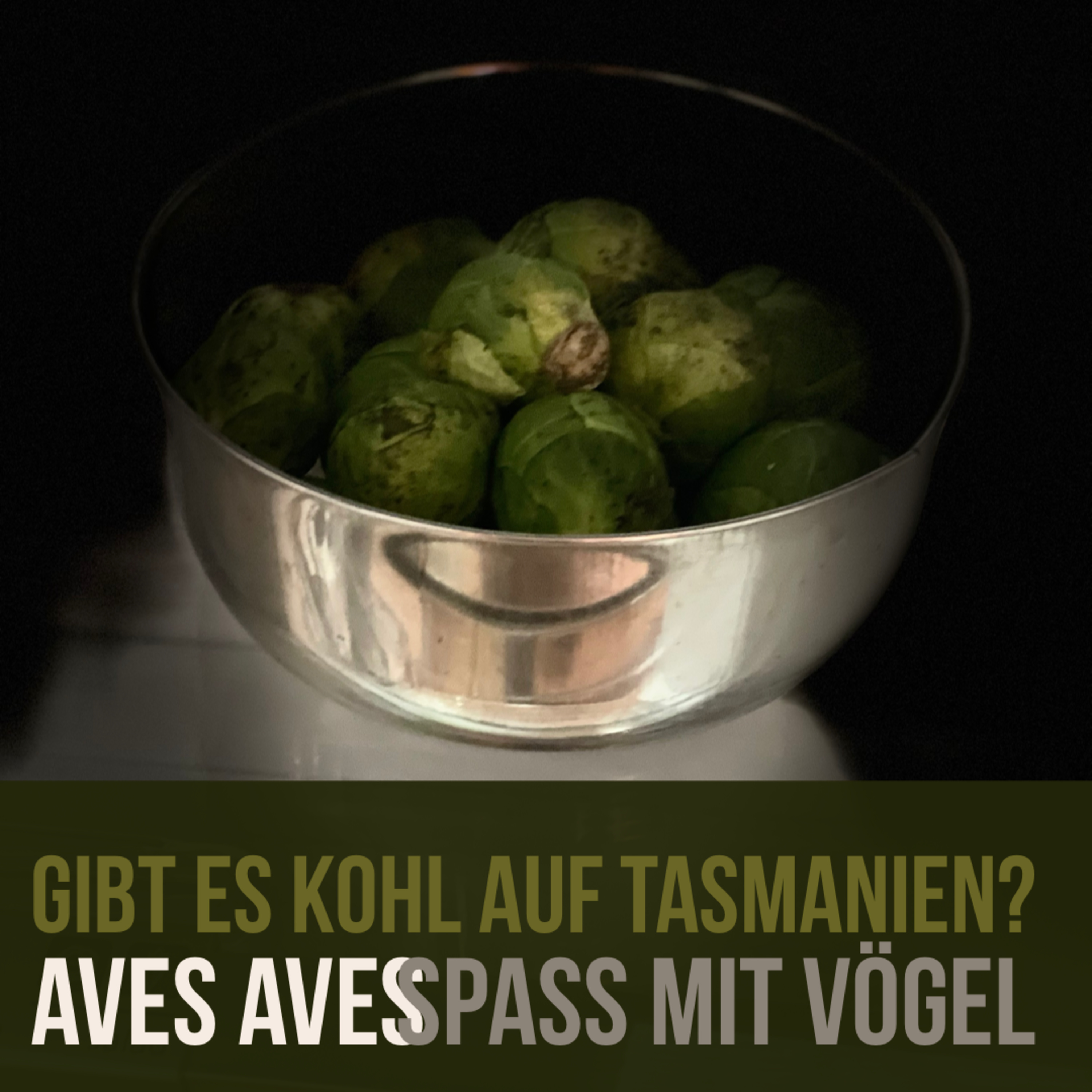 Aves Aves - Spass mit Vögel