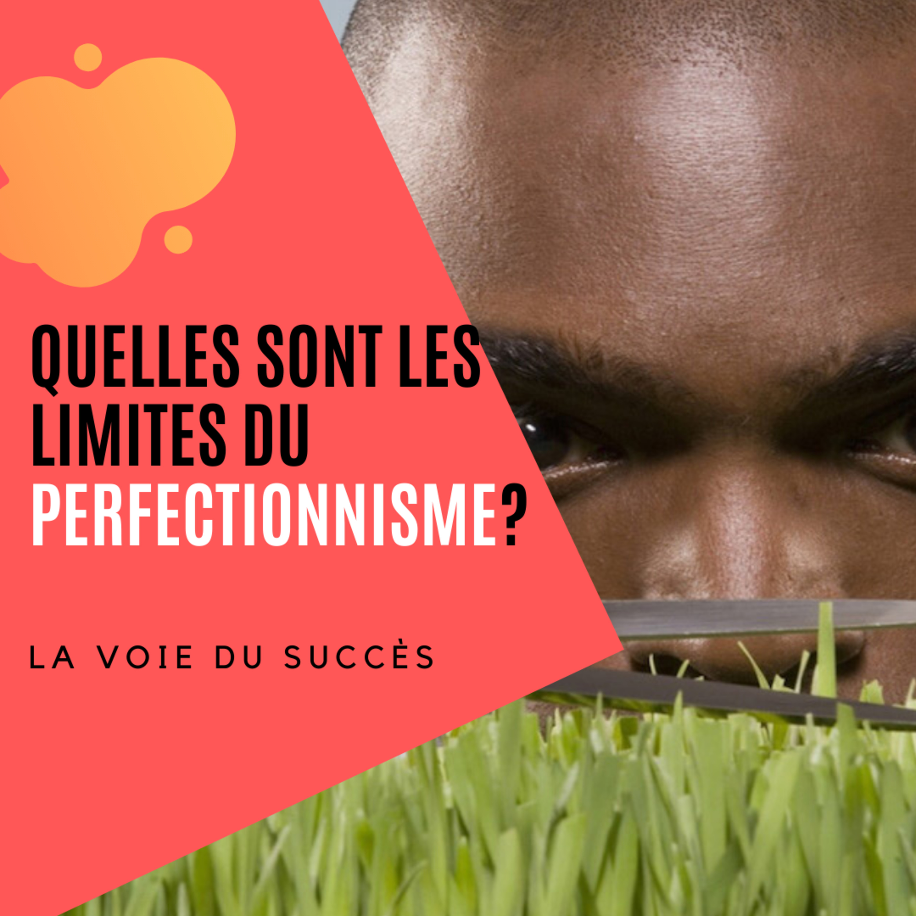 La Voie Du Succès