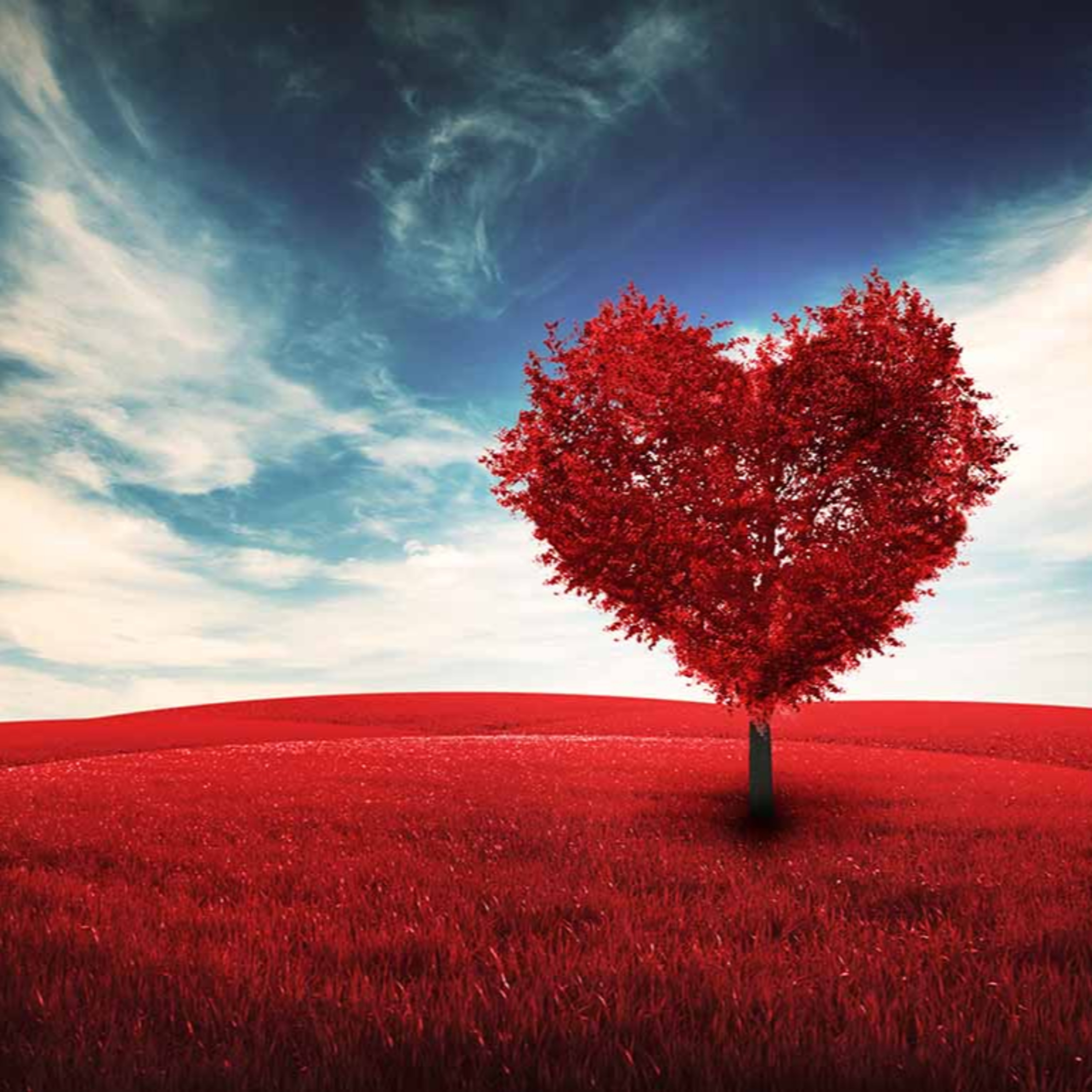 Staying grateful during coronavirus. How to reduce anxiety and stress under quarantine