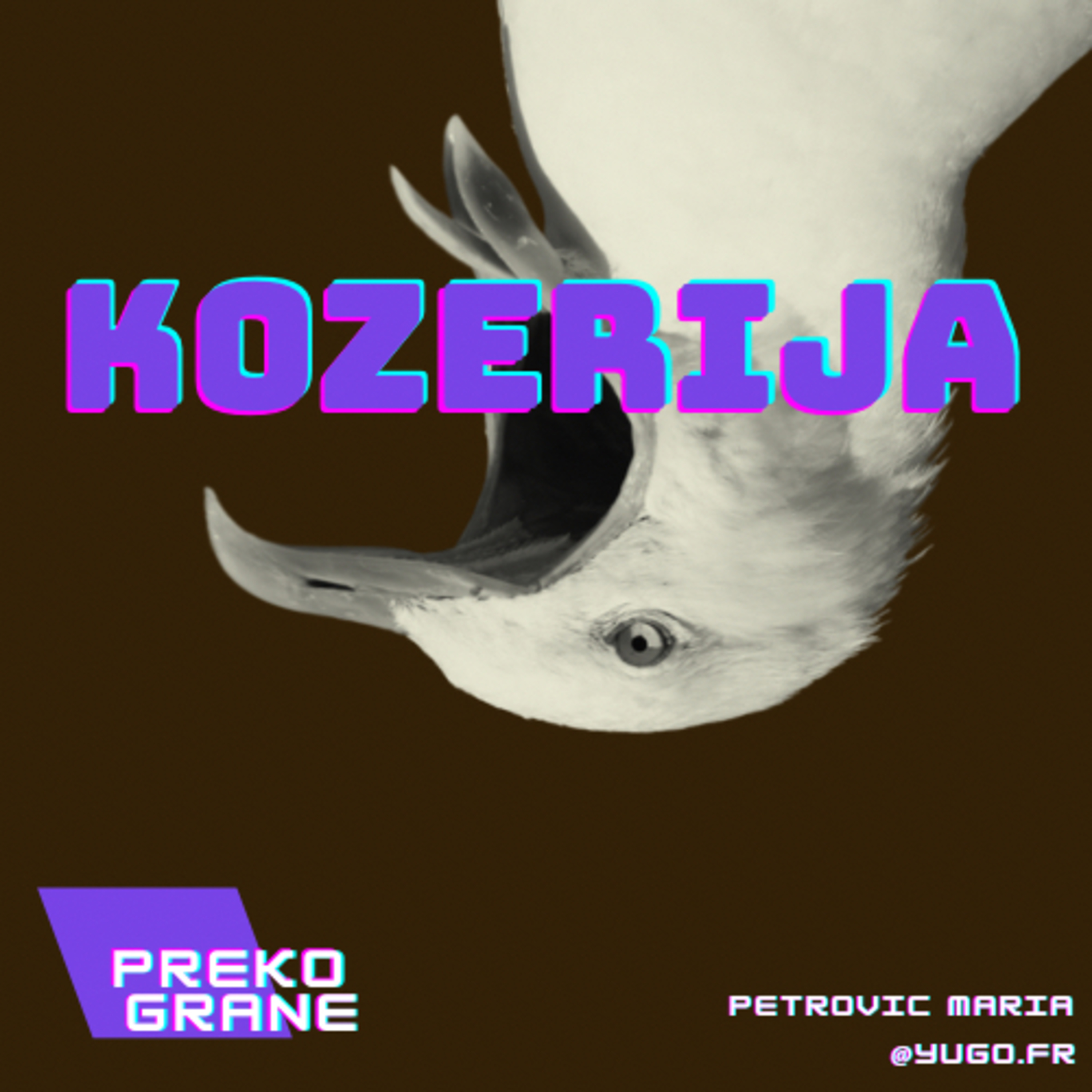 Preko grane
