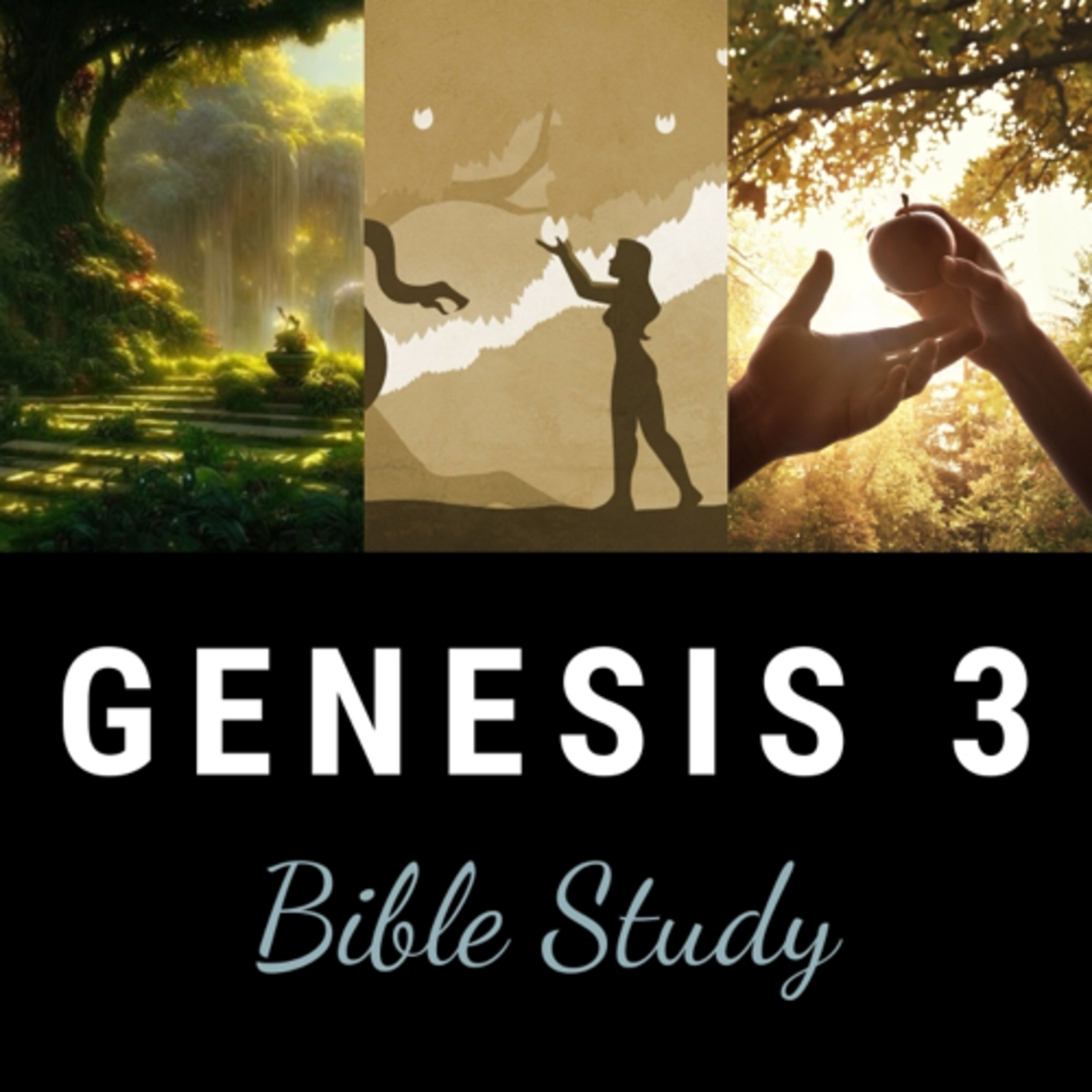 Strut In Faith - Bible Study
