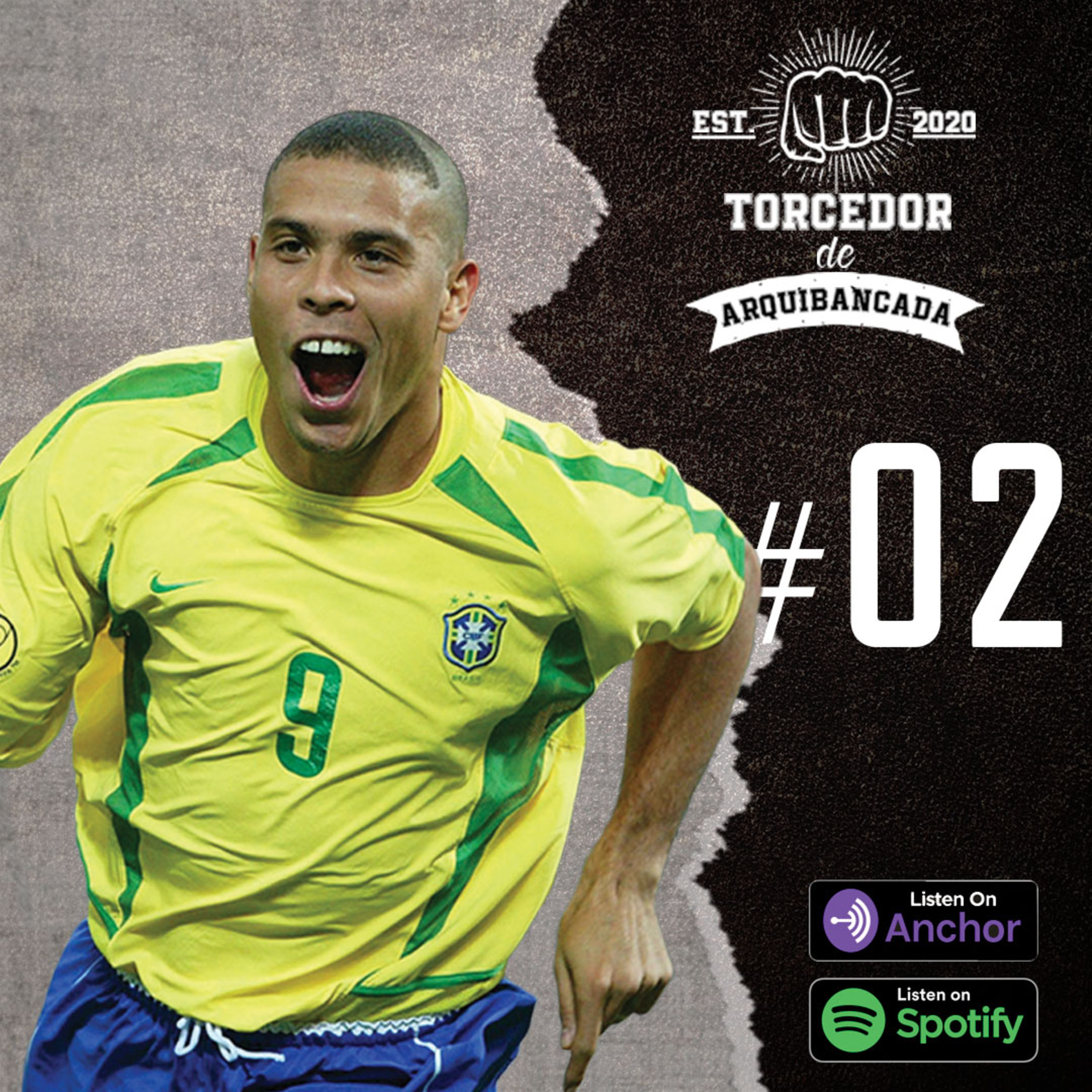 Torcedor de Arquibancada