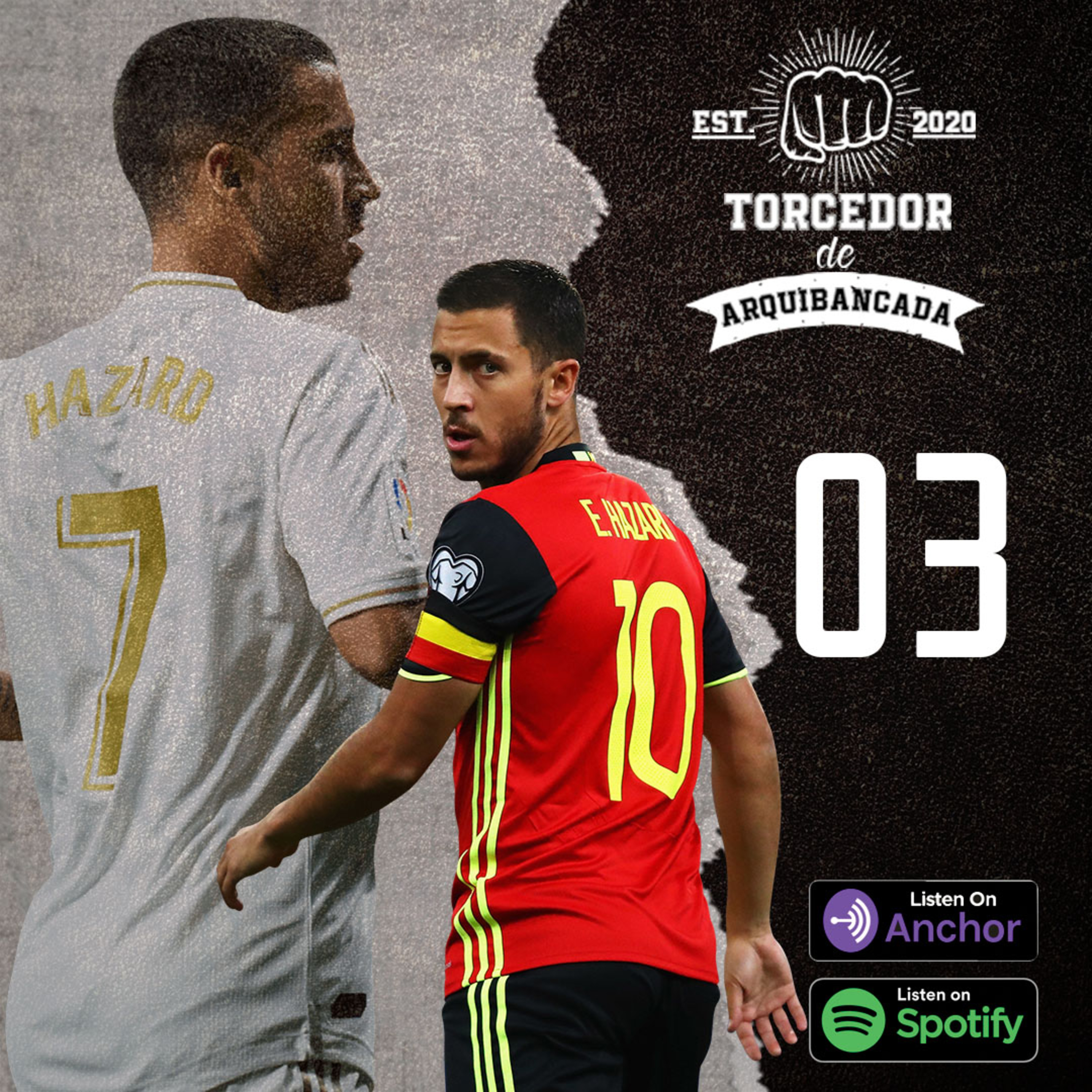 Torcedor de Arquibancada