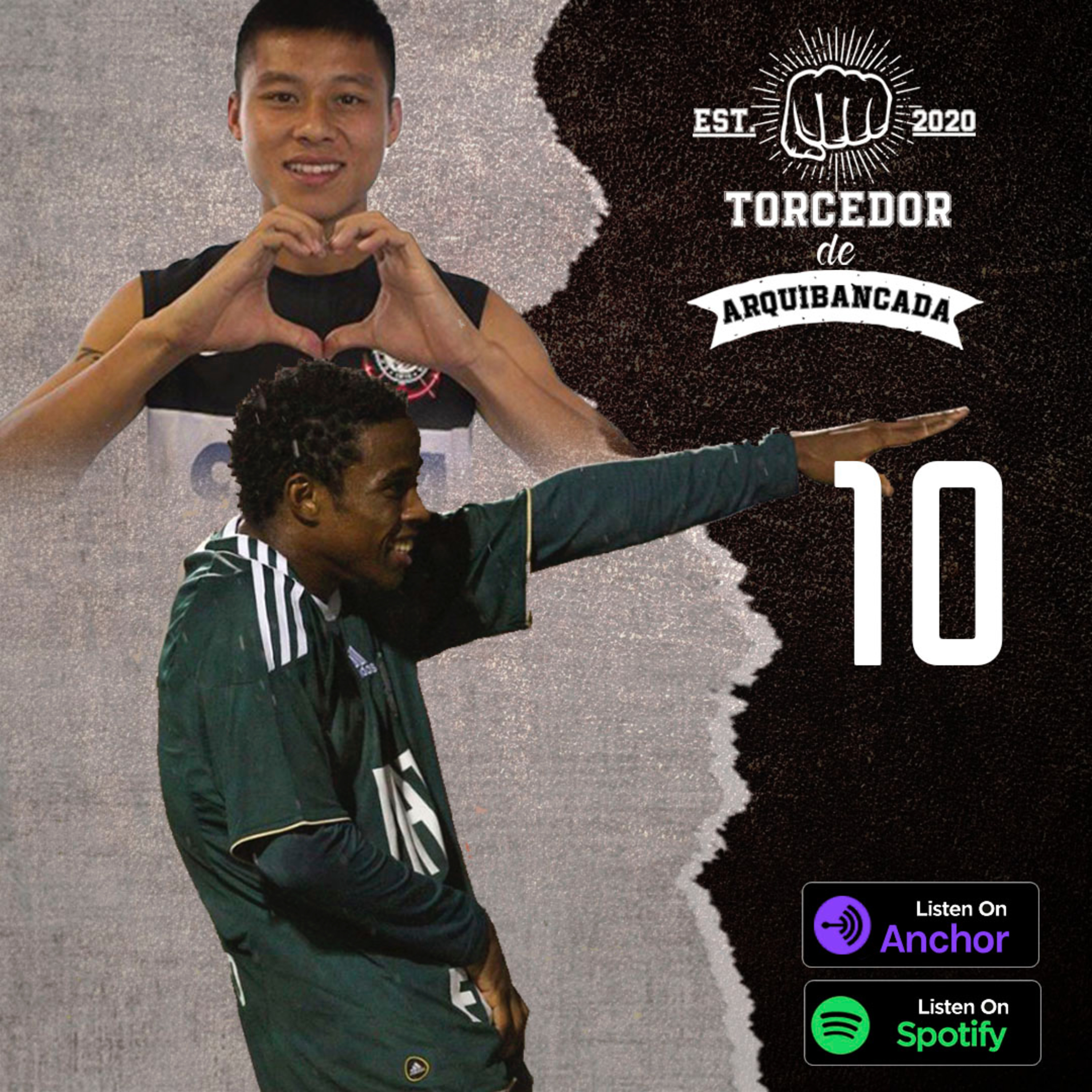 Torcedor de Arquibancada