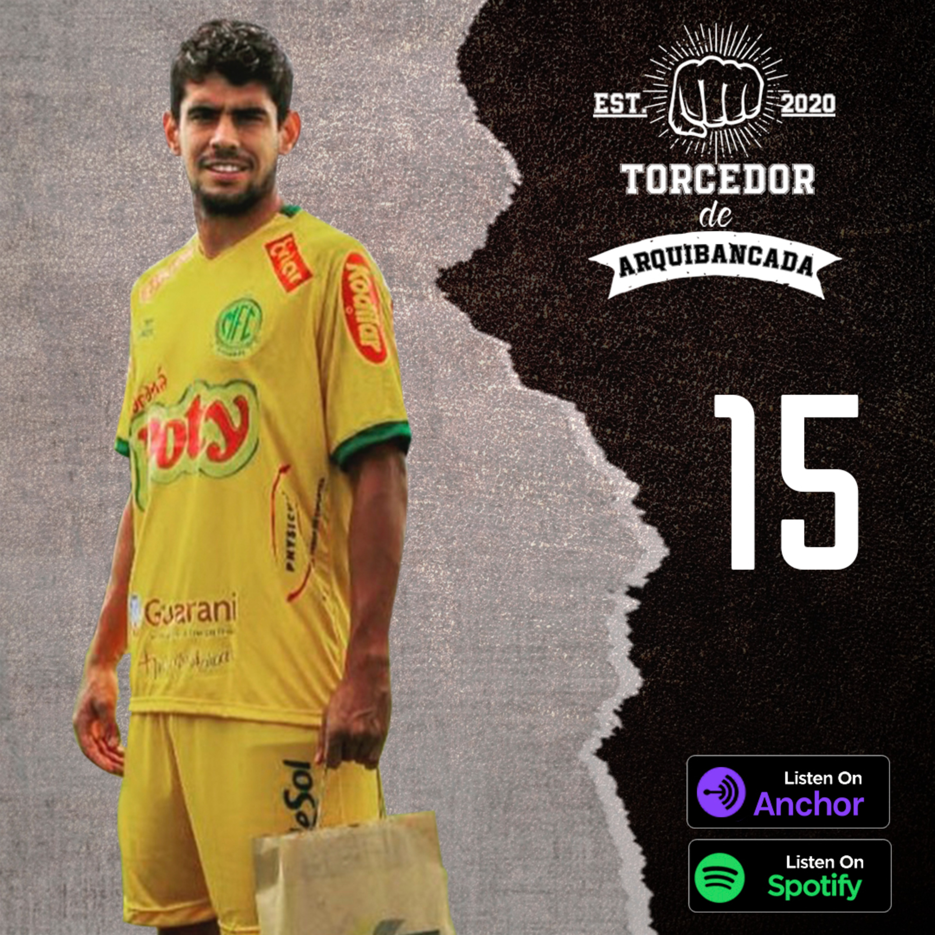 Torcedor de Arquibancada