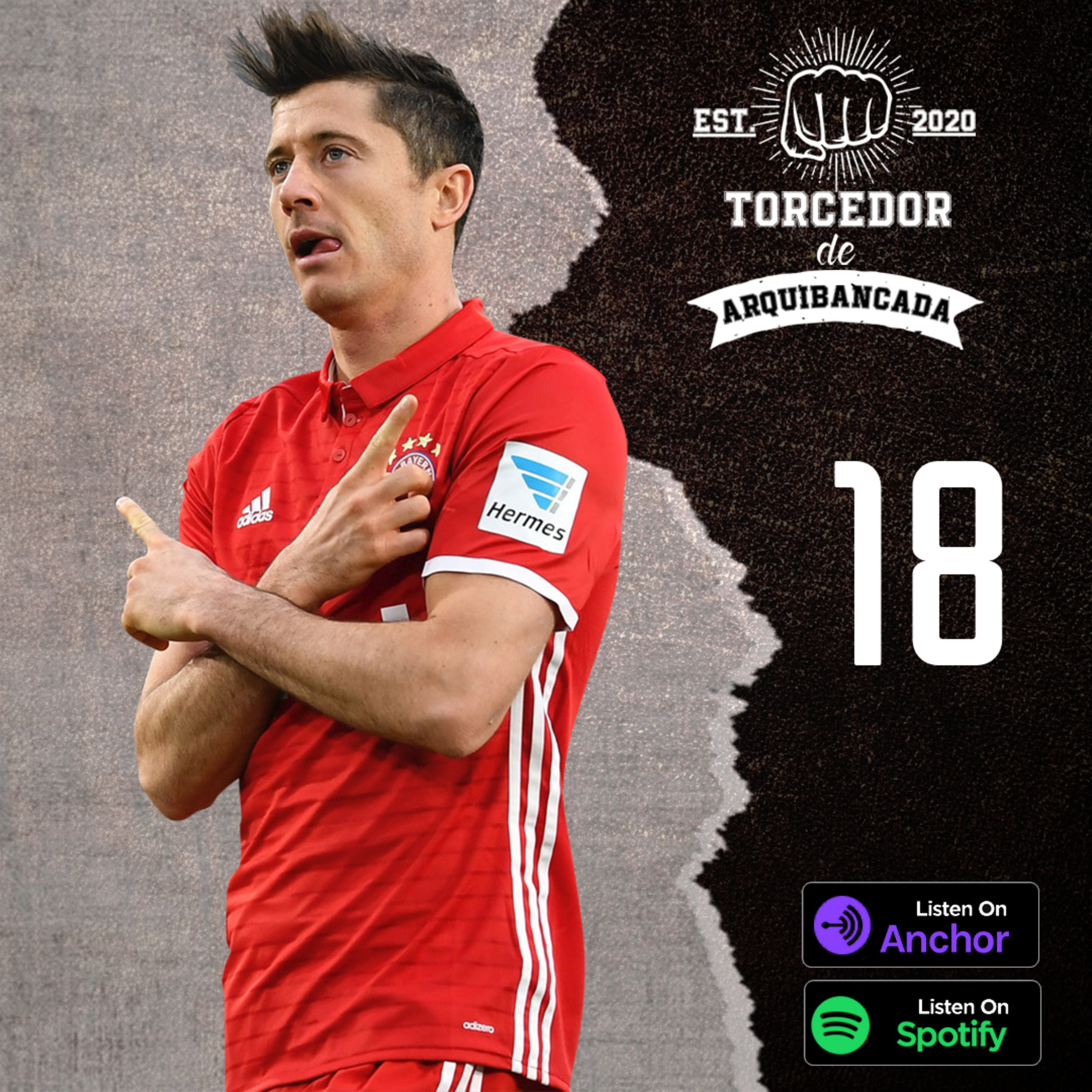Torcedor de Arquibancada