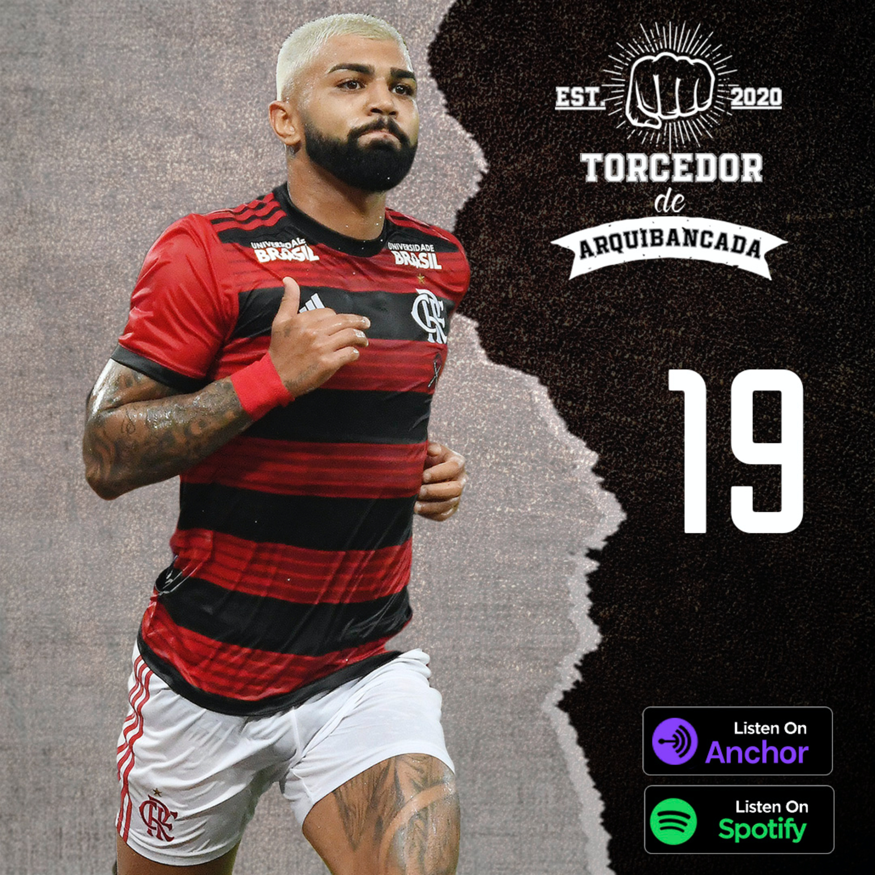 Torcedor de Arquibancada