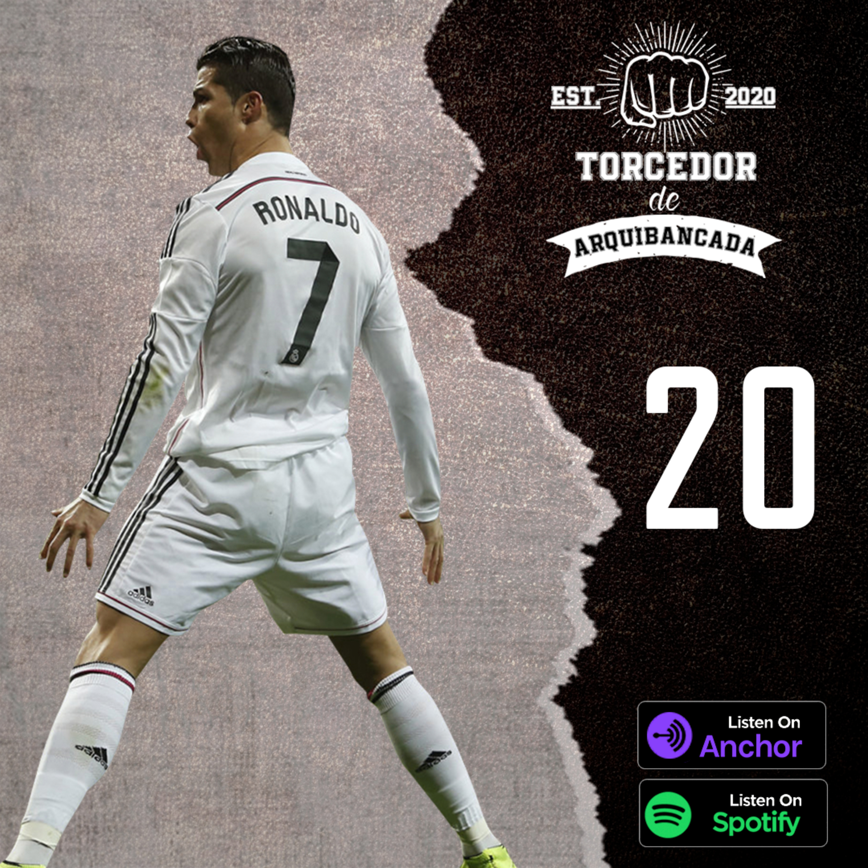 Torcedor de Arquibancada