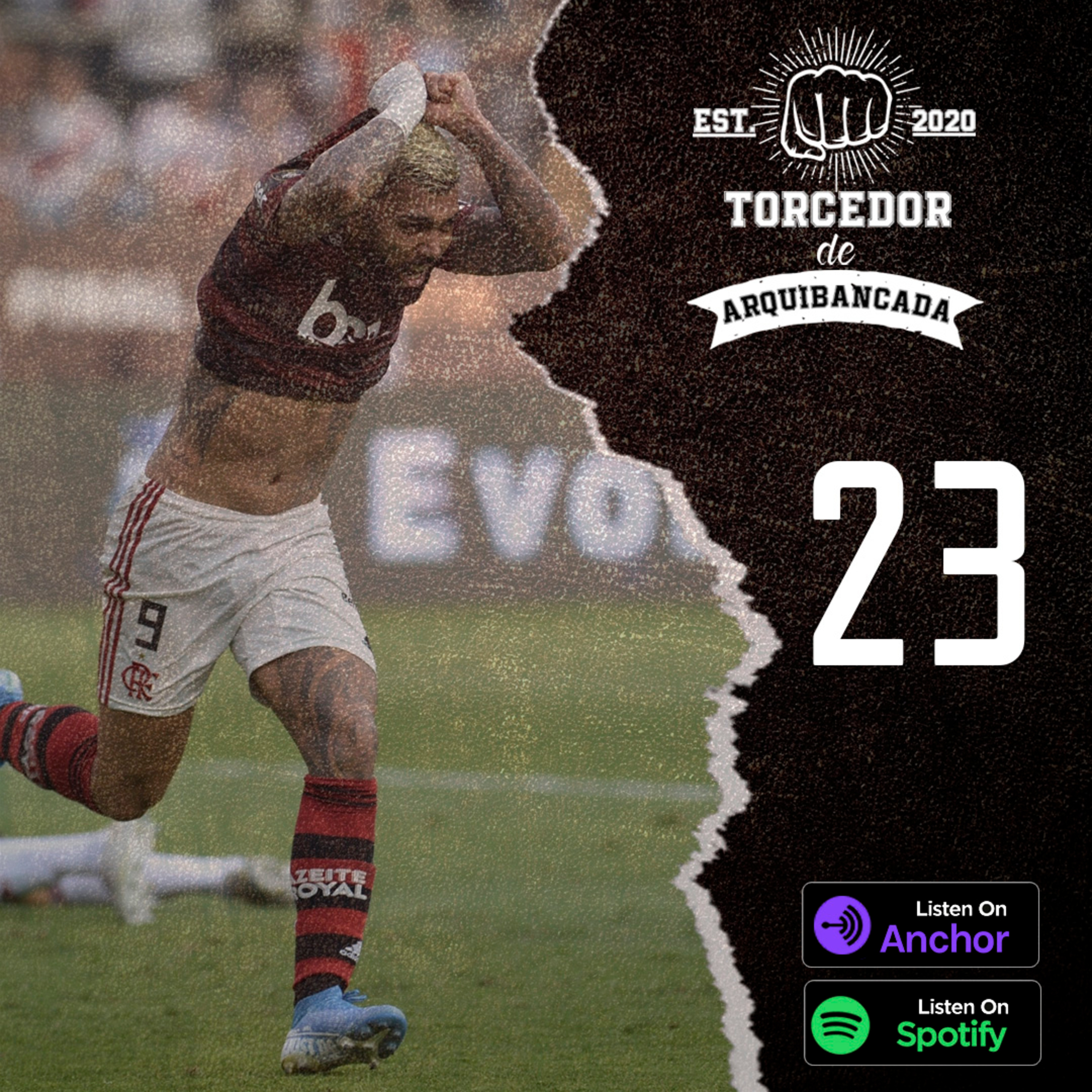 Torcedor de Arquibancada