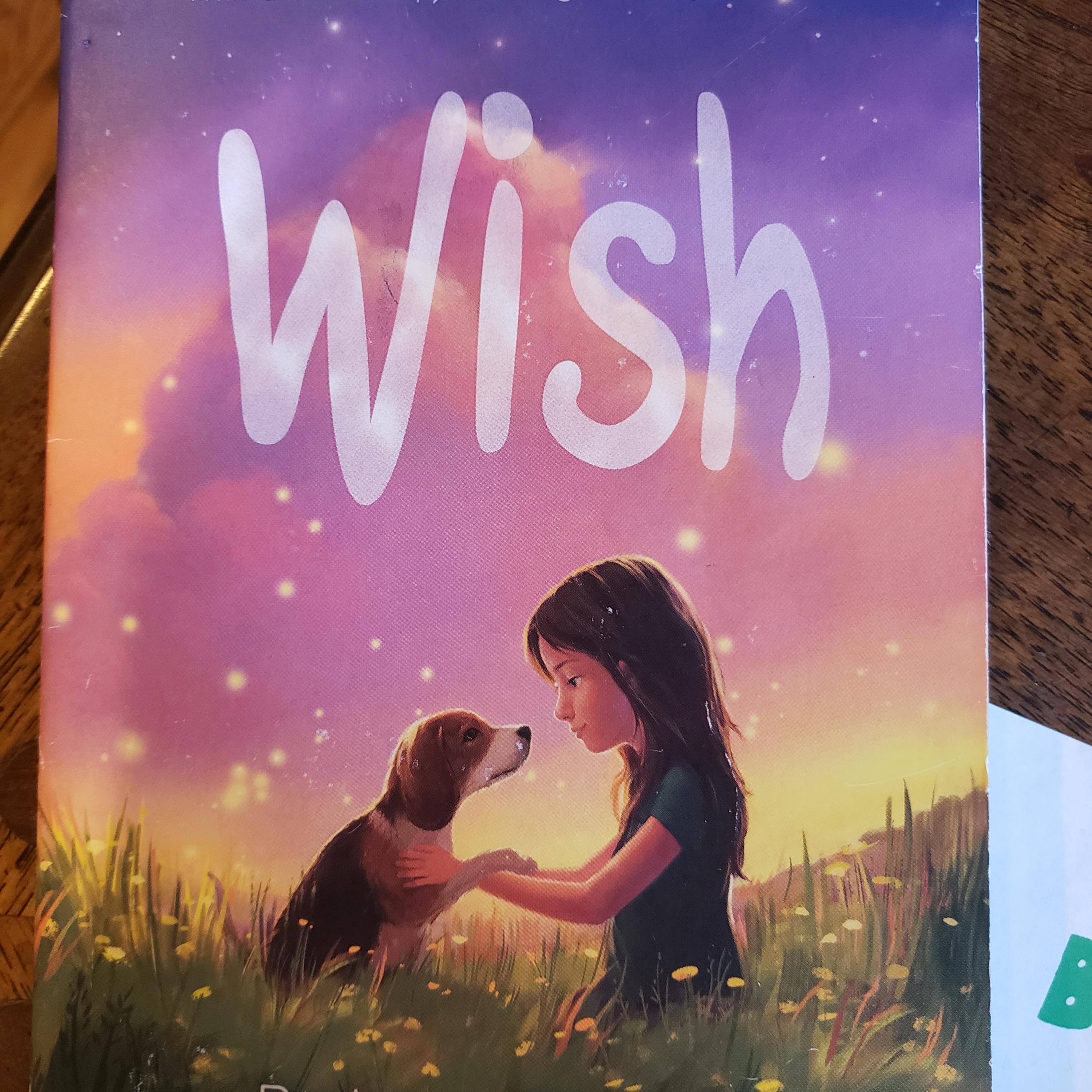 WISH, Chapter 16