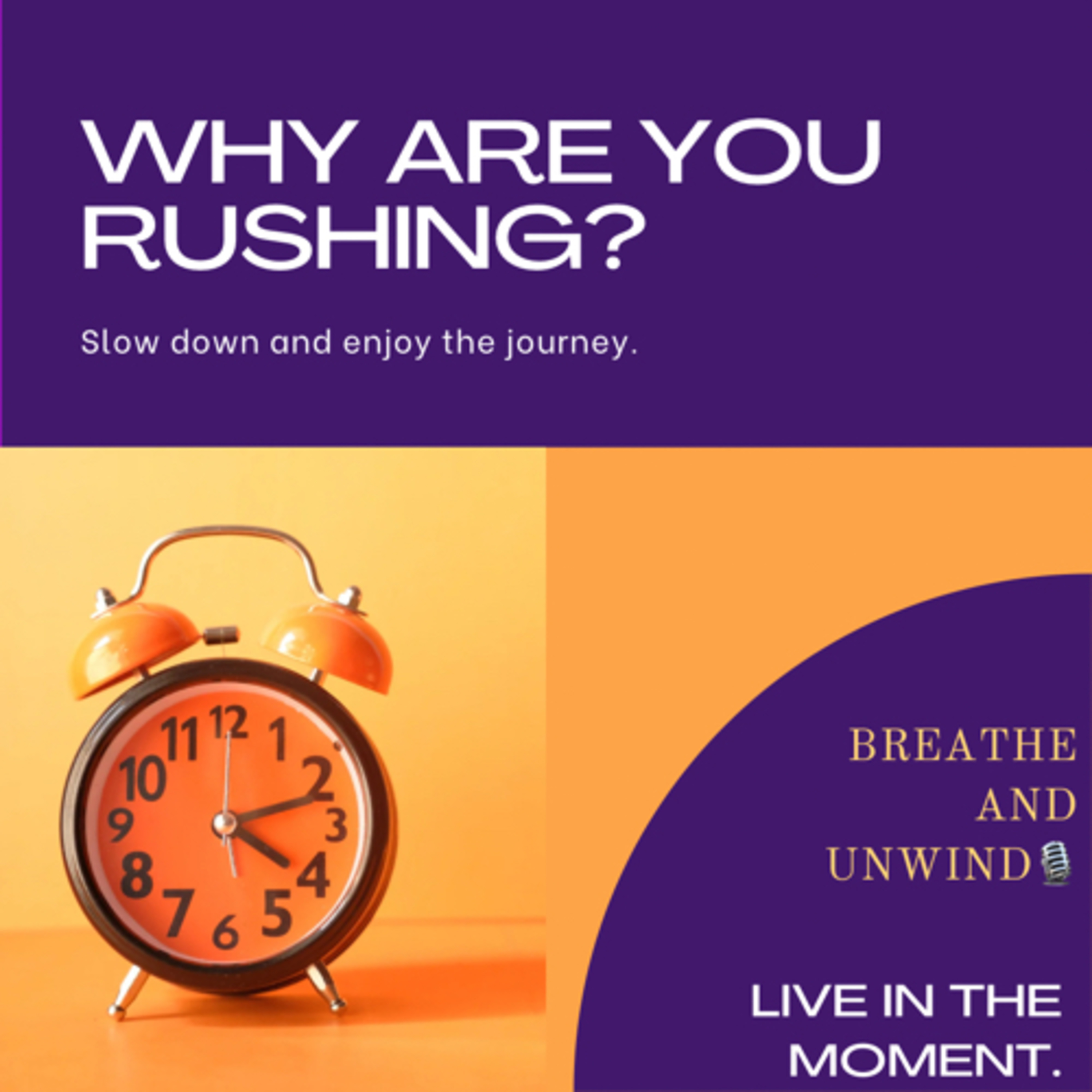 Why are you rushing? episode artwork
