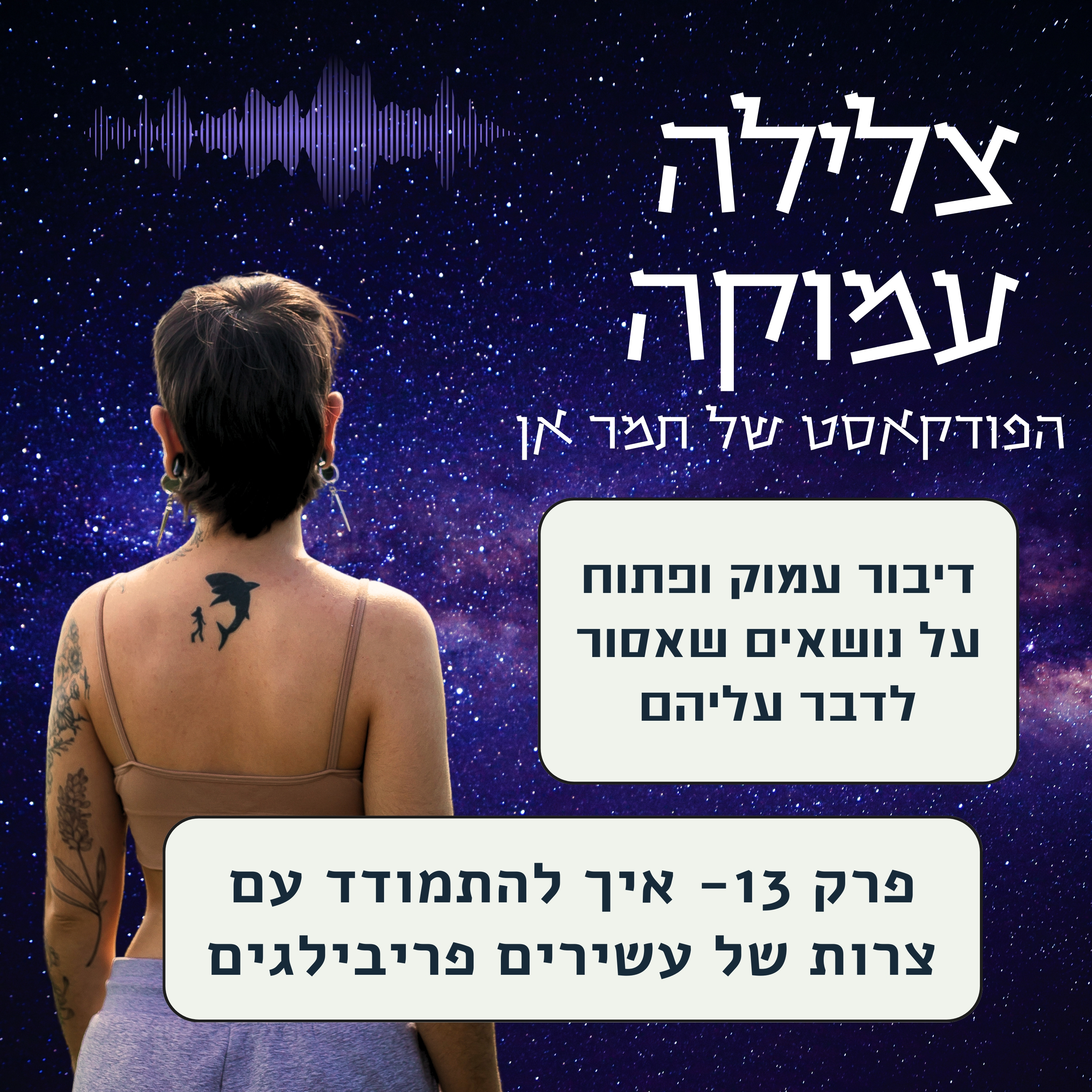 פרק 13- איך להתמודד עם צרות של עשירים episode artwork