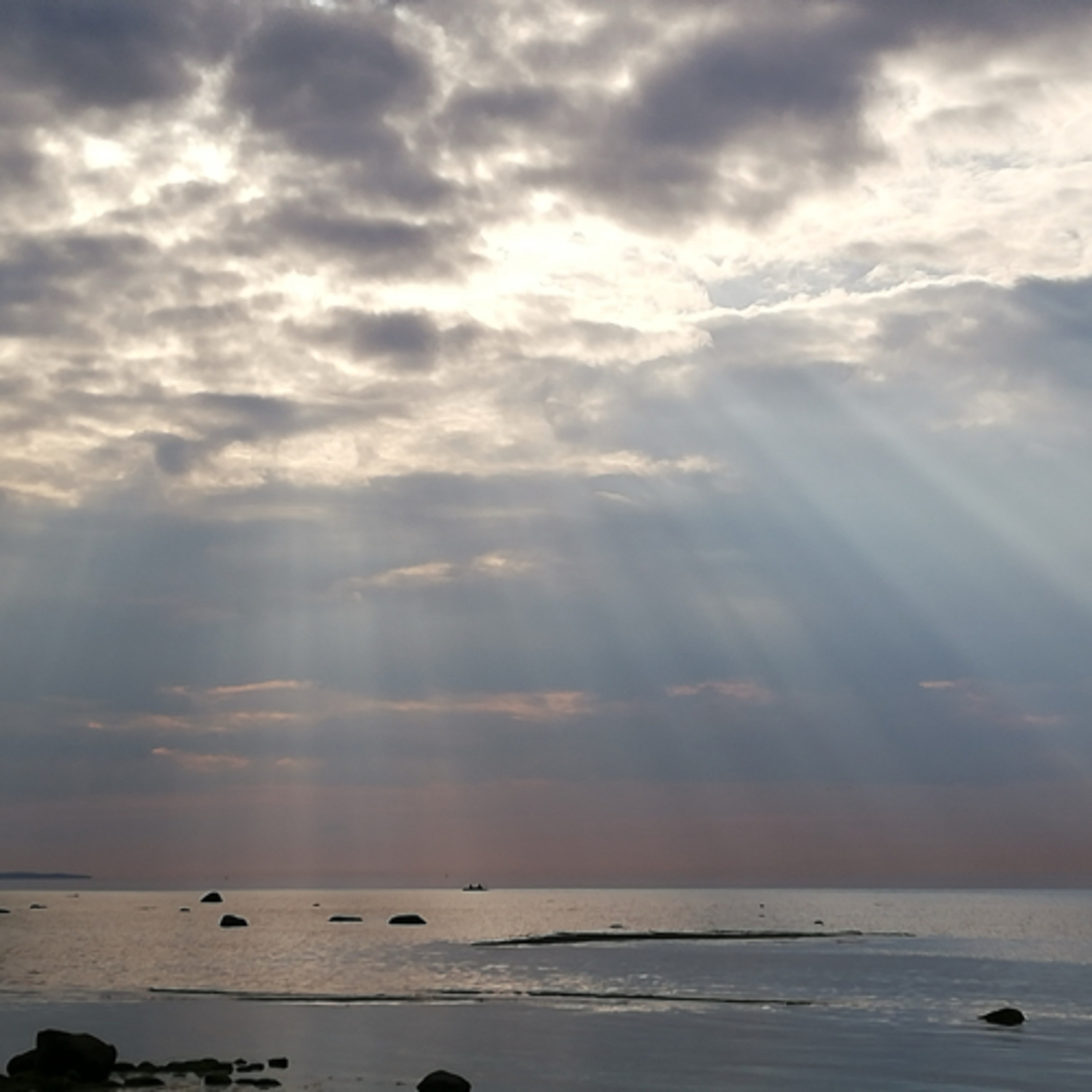 Ausflug zum Meer episode artwork