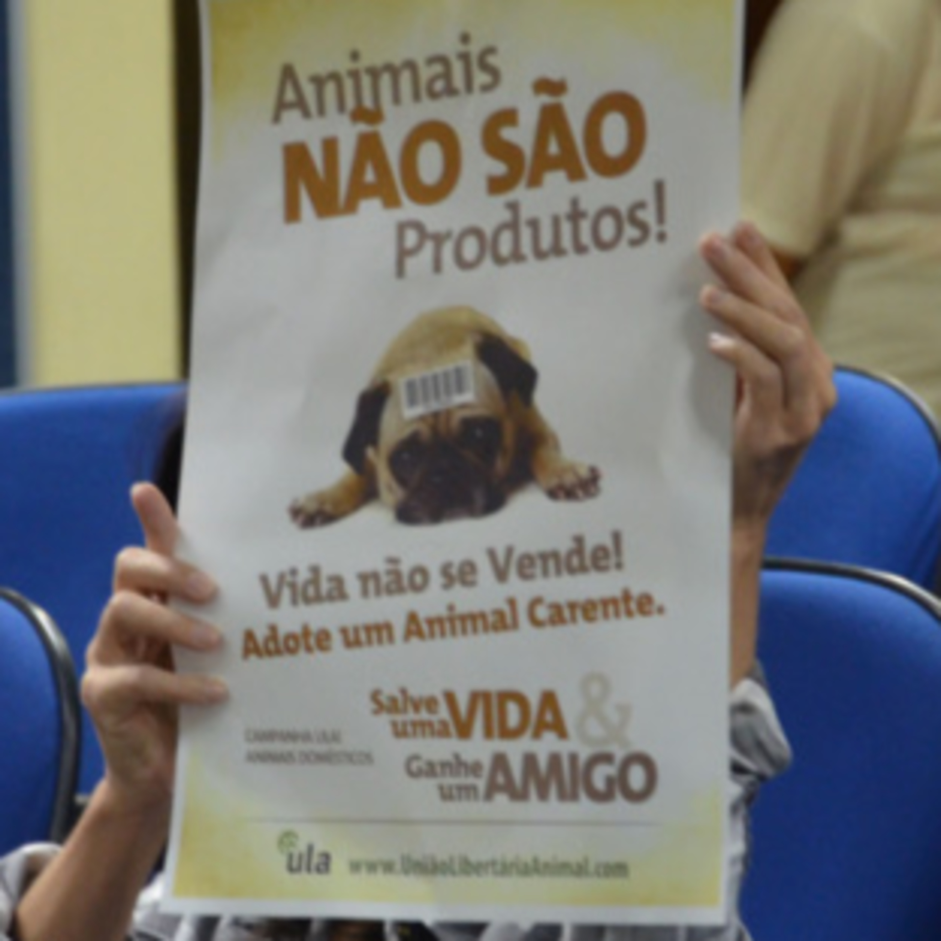 Vira-Lata Clínica Veterinária