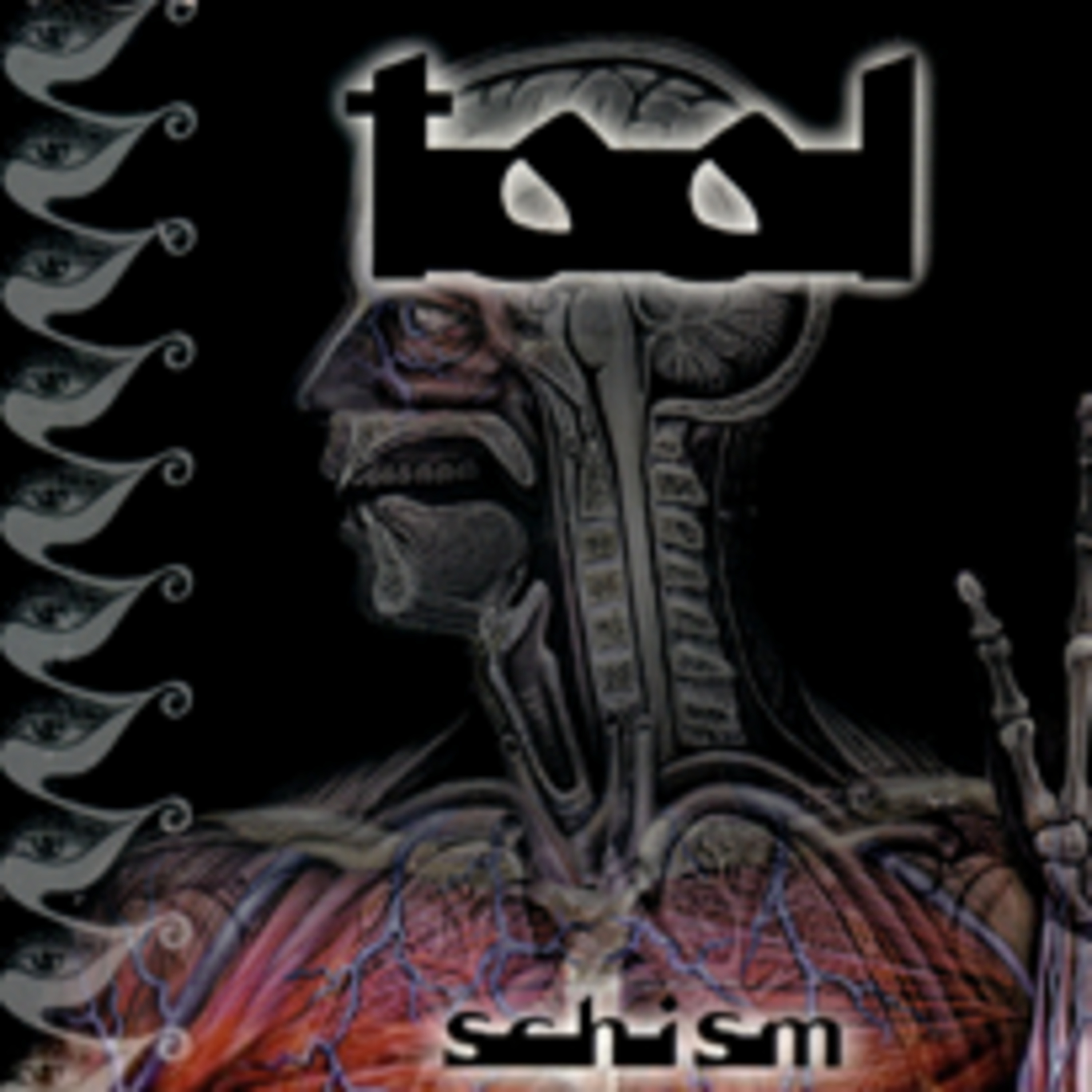(#008) Tool - Schism (Isolated Tracks) episode artwork