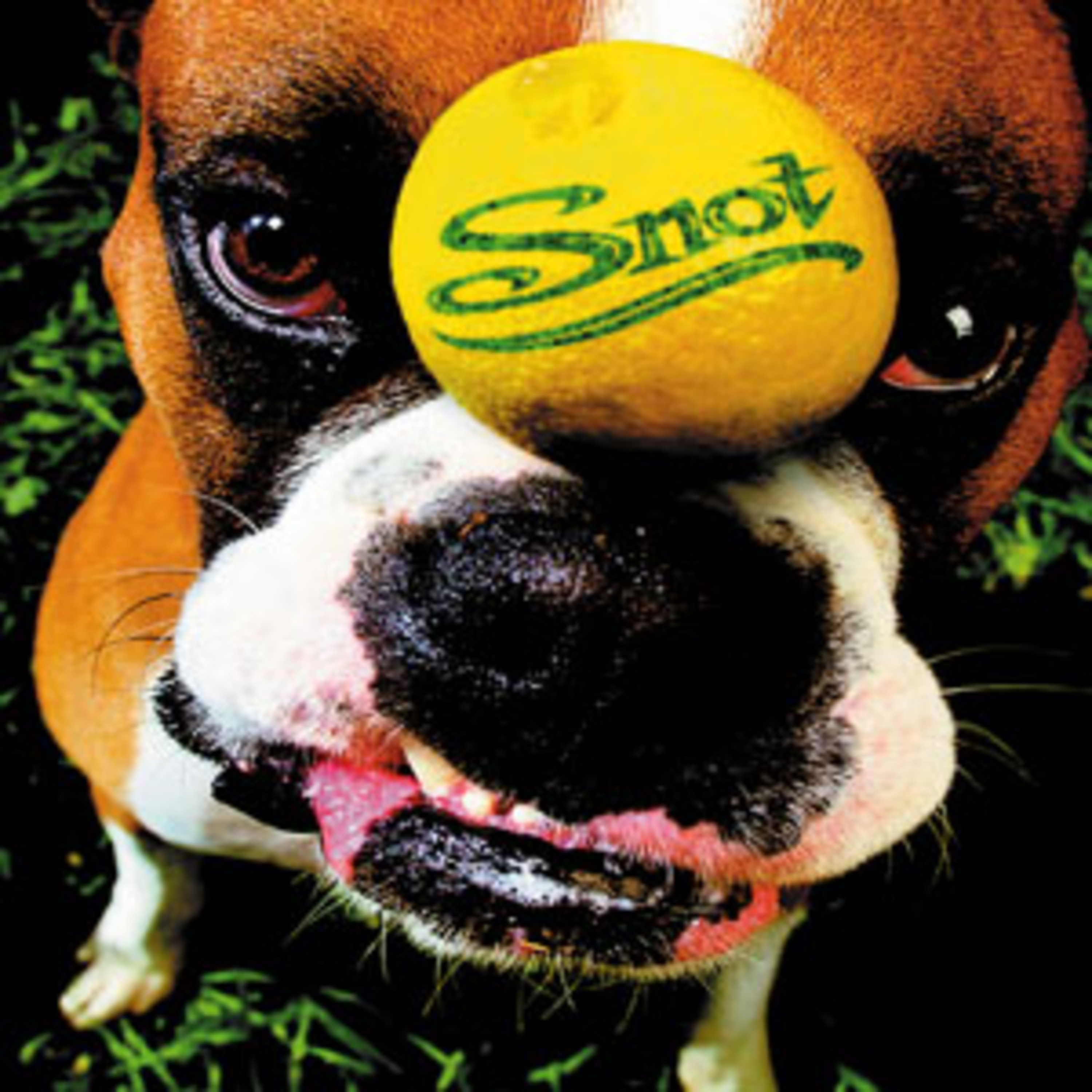 (#005) Snot - Deadfall (Isolated Tracks) episode artwork