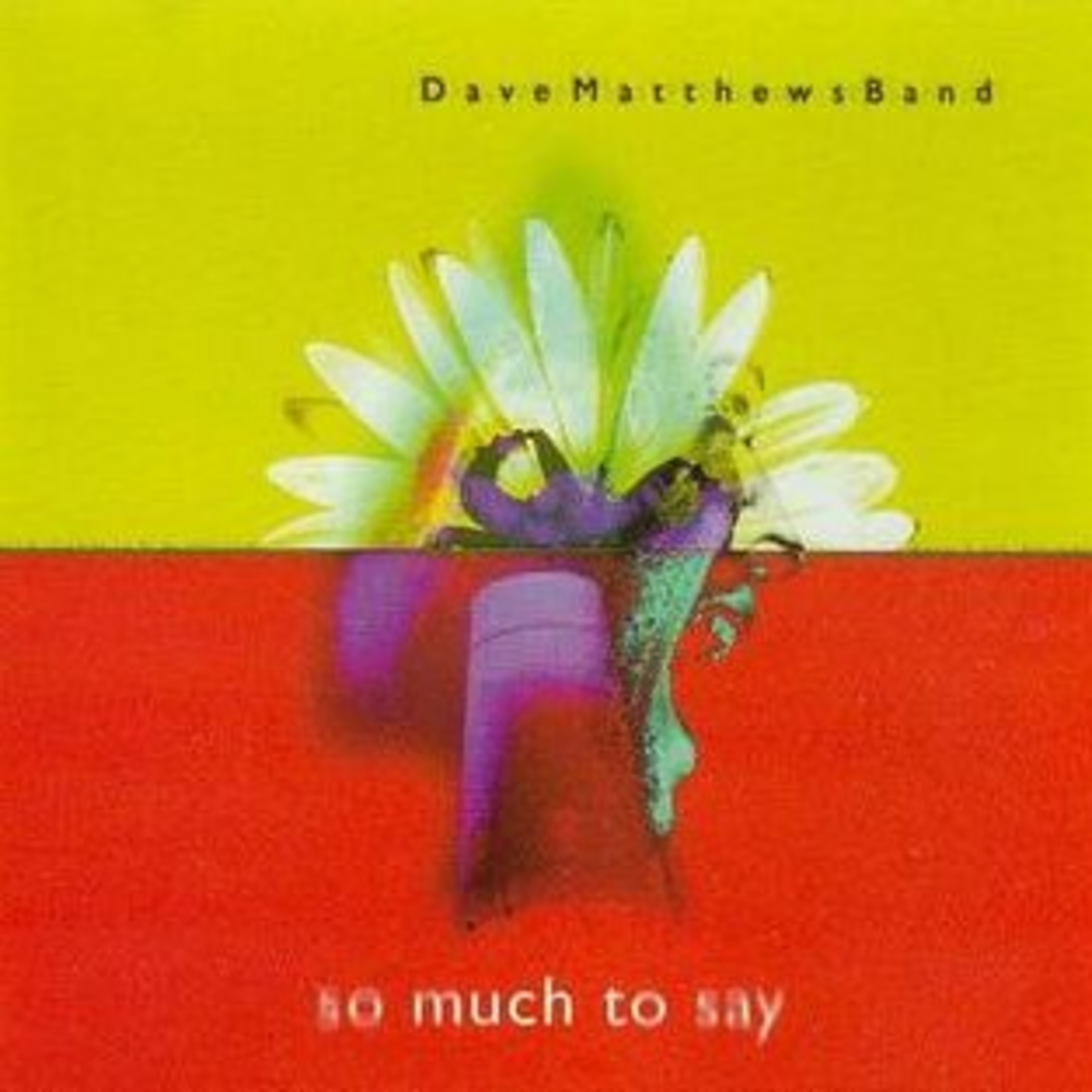 (#014) Dave Matthews Band - So Much to say (Isolated Tracks)  episode artwork