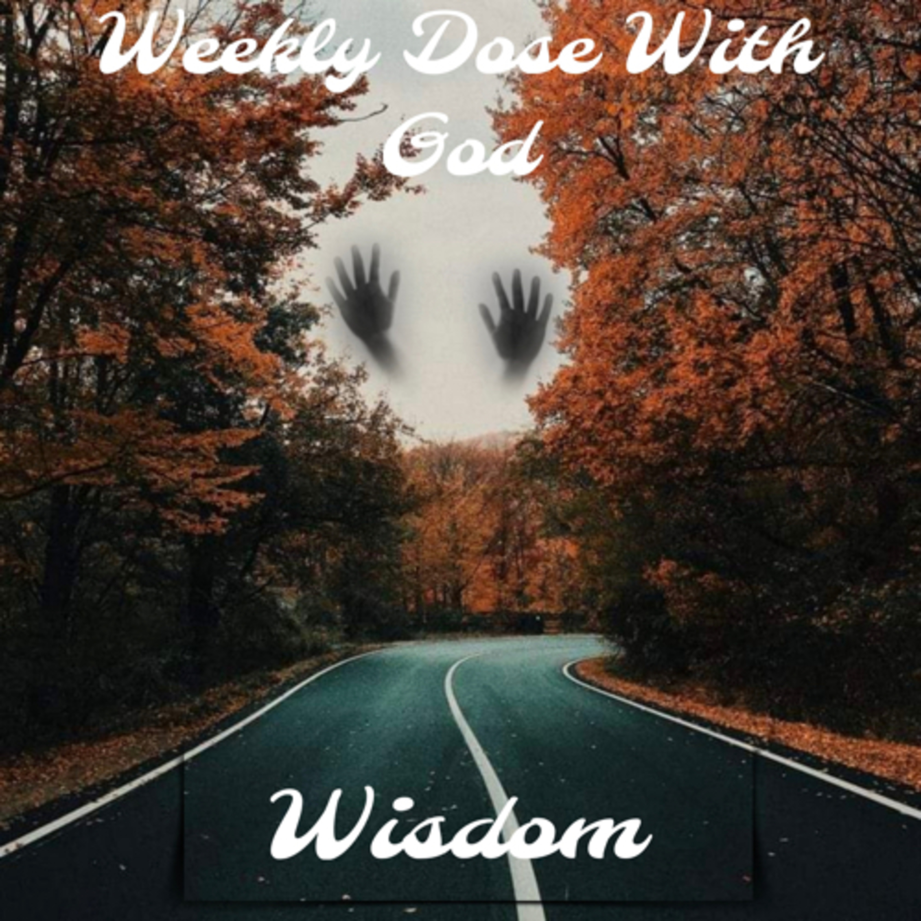 Wisdom S.26 episode artwork