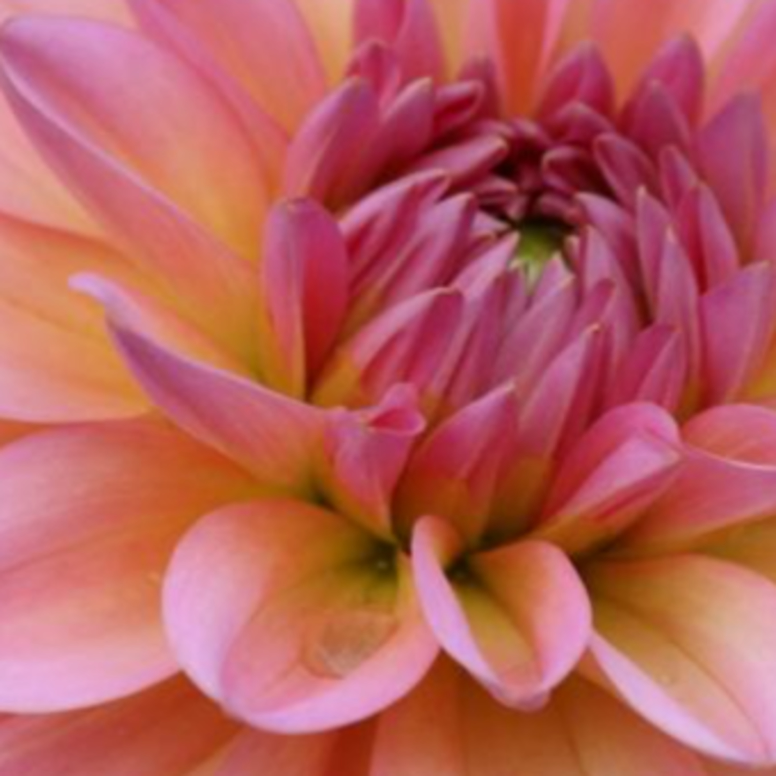 Facing The Situation: Building Spiritual Resiliency-Season 4, Episode 2 Working With The Rhythms You Recognize In Your Life Part 2 episode artwork