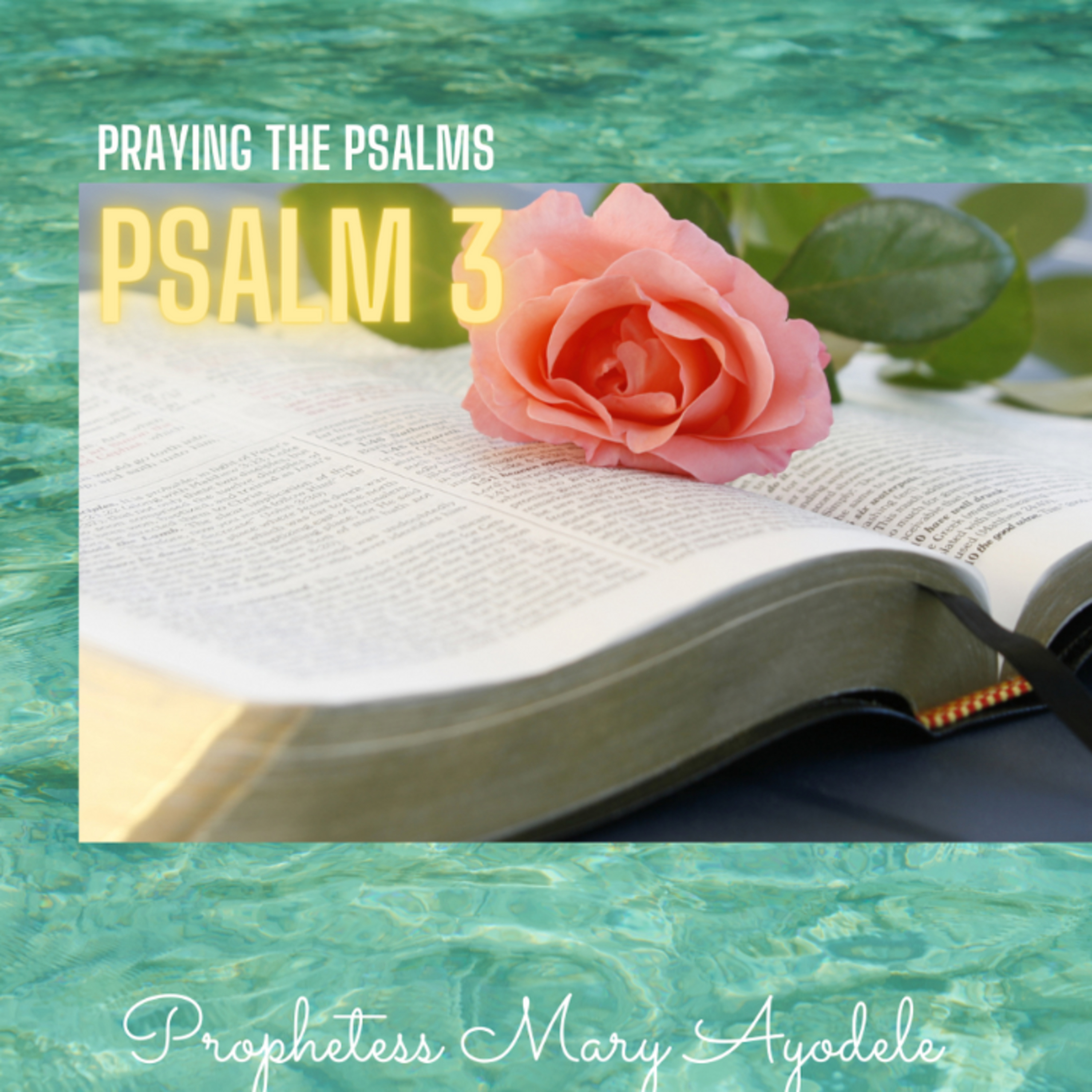 Facing The Situation: Psalm 3-Season 10-Episode 3 episode artwork