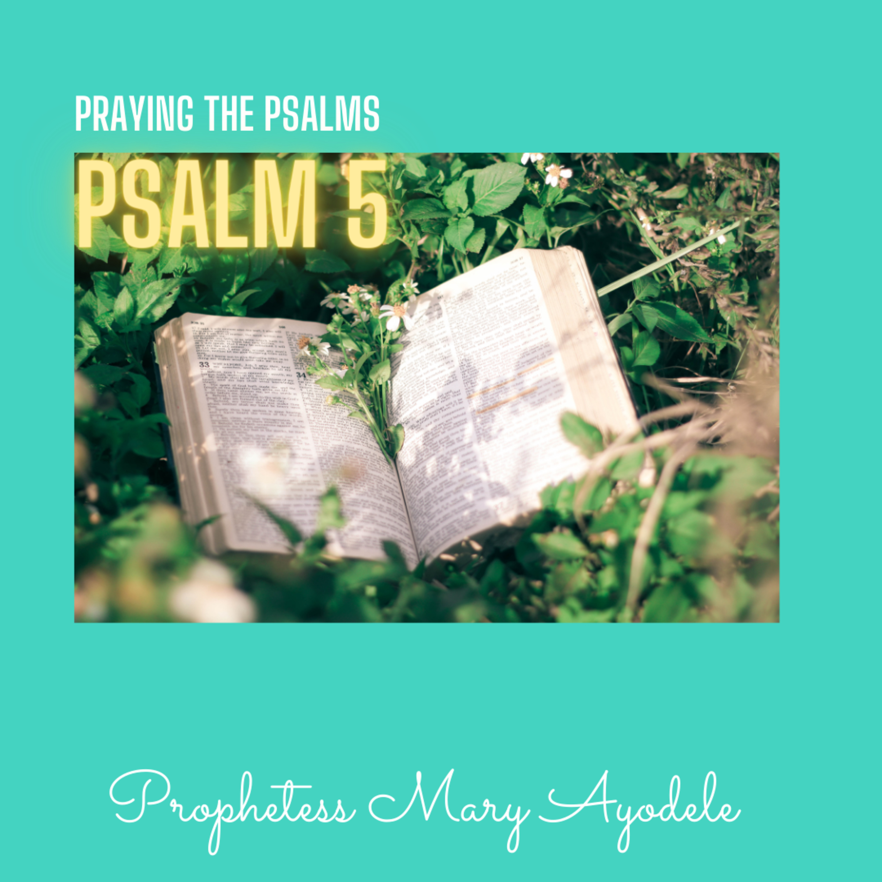 Facing The Situation: Psalm 5-Season 10-Episode 5 episode artwork
