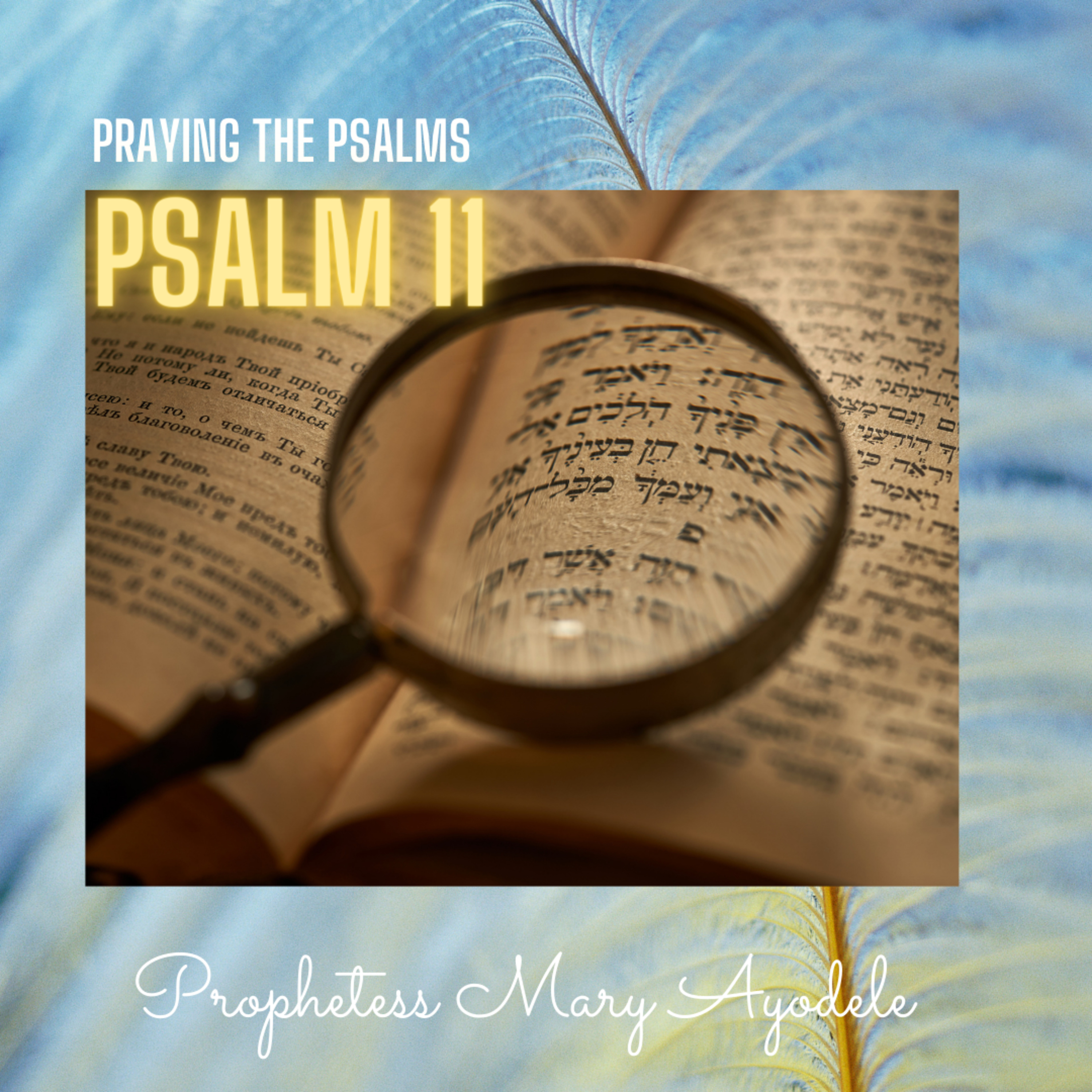 Praying The Psalms: Psalm 11 episode artwork