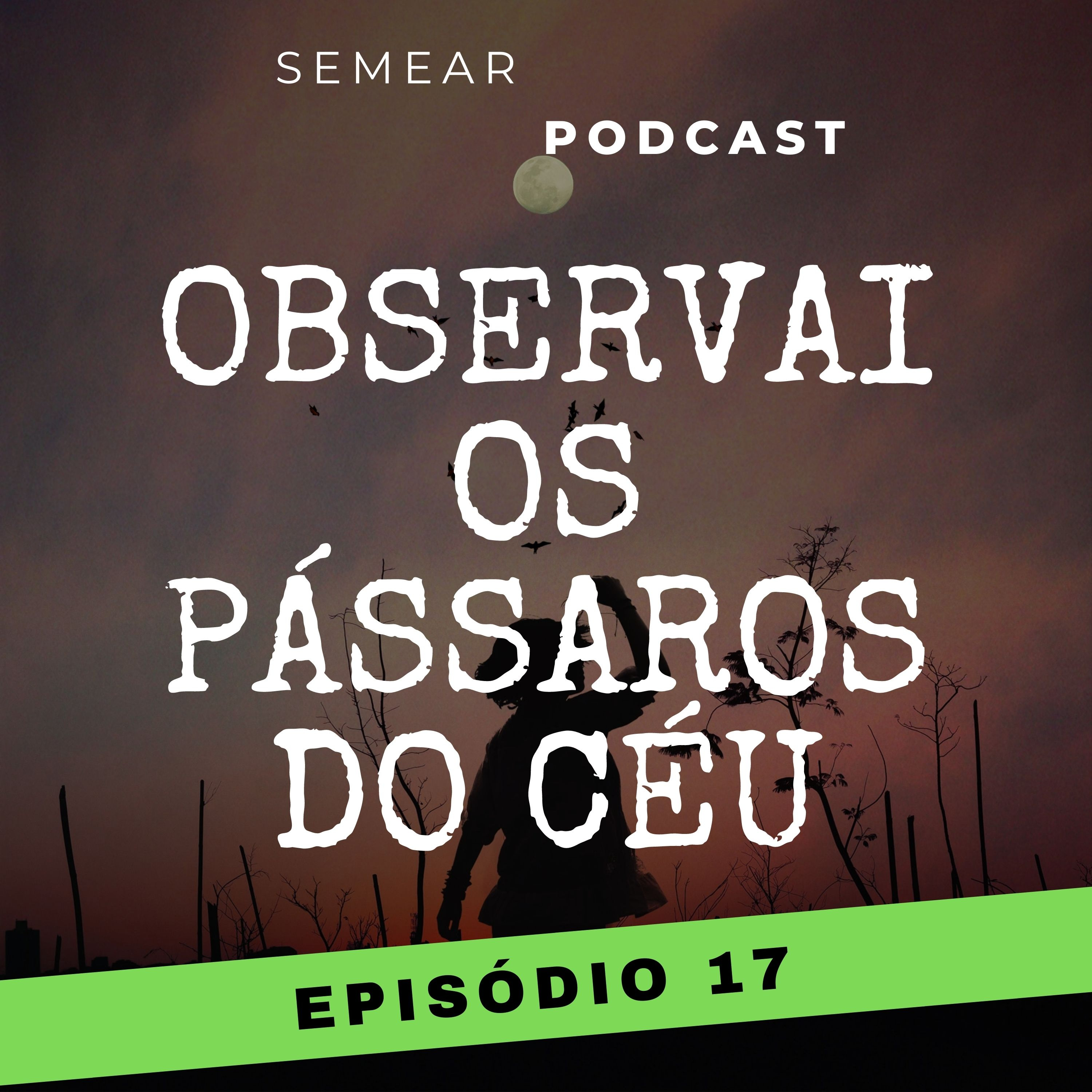 #017 Observai os pássaros do céu episode artwork