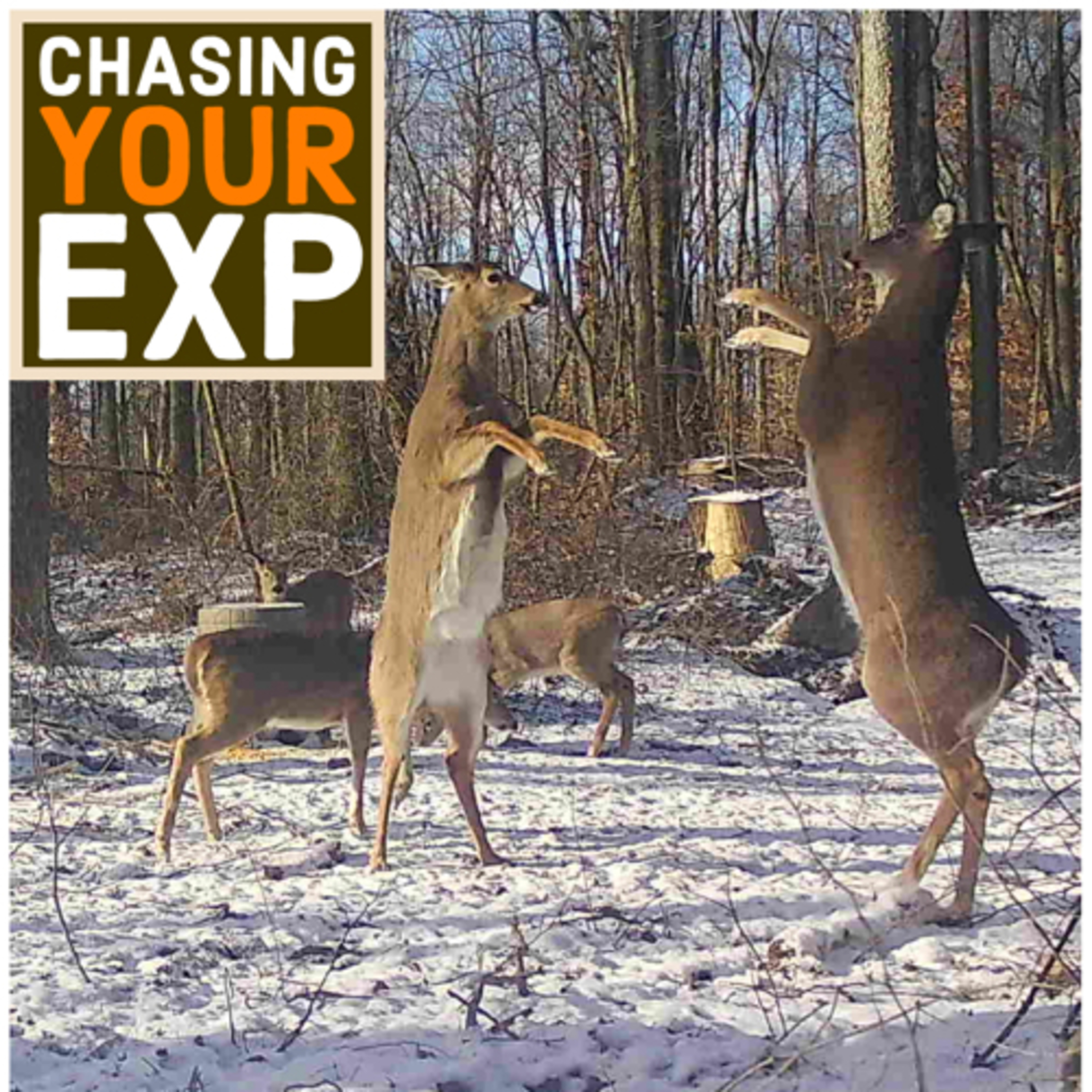 Kountryfried Outdoors: Chasing Your Experience