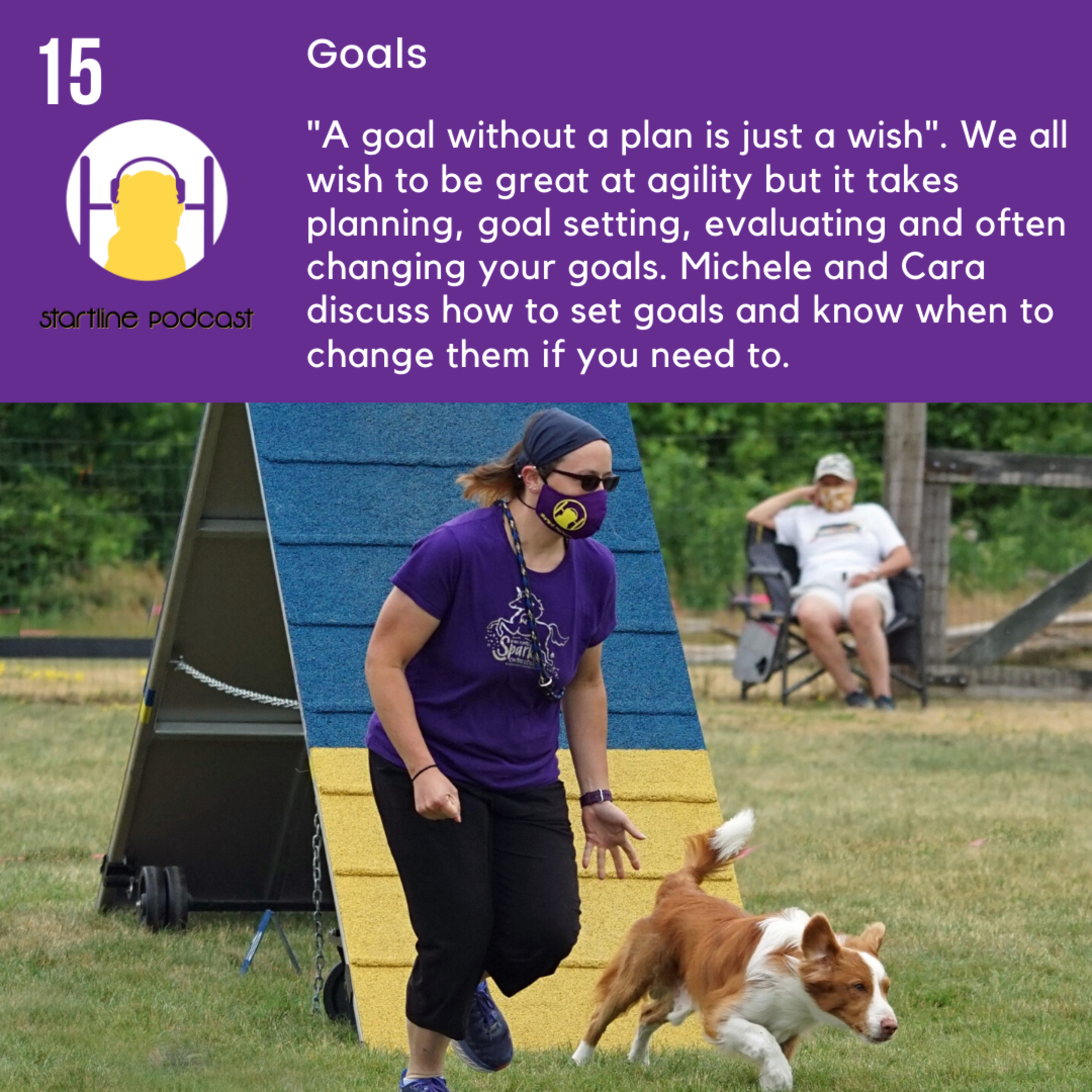 Episode 15 - Goals  episode artwork