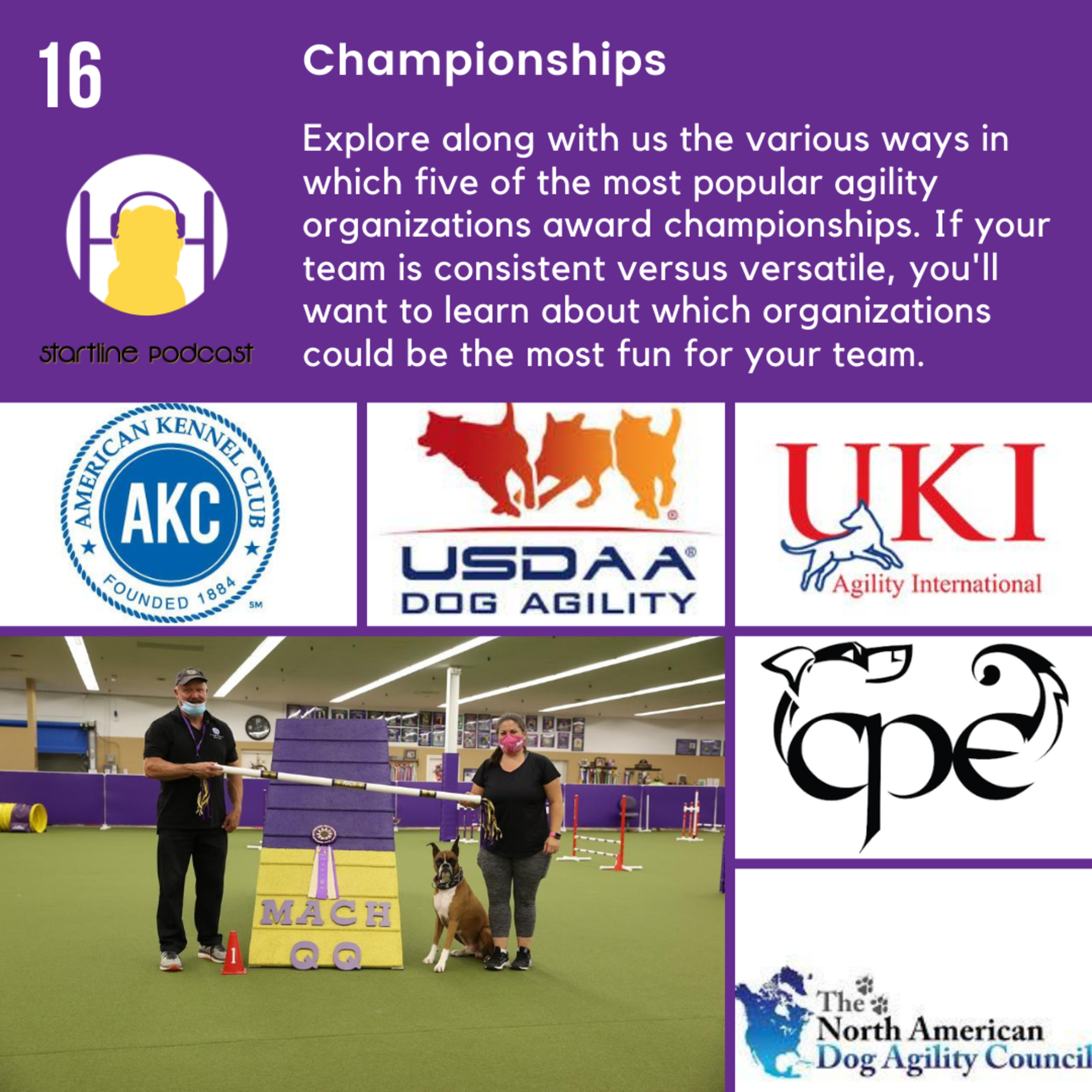 Episode 16 - Championships  episode artwork