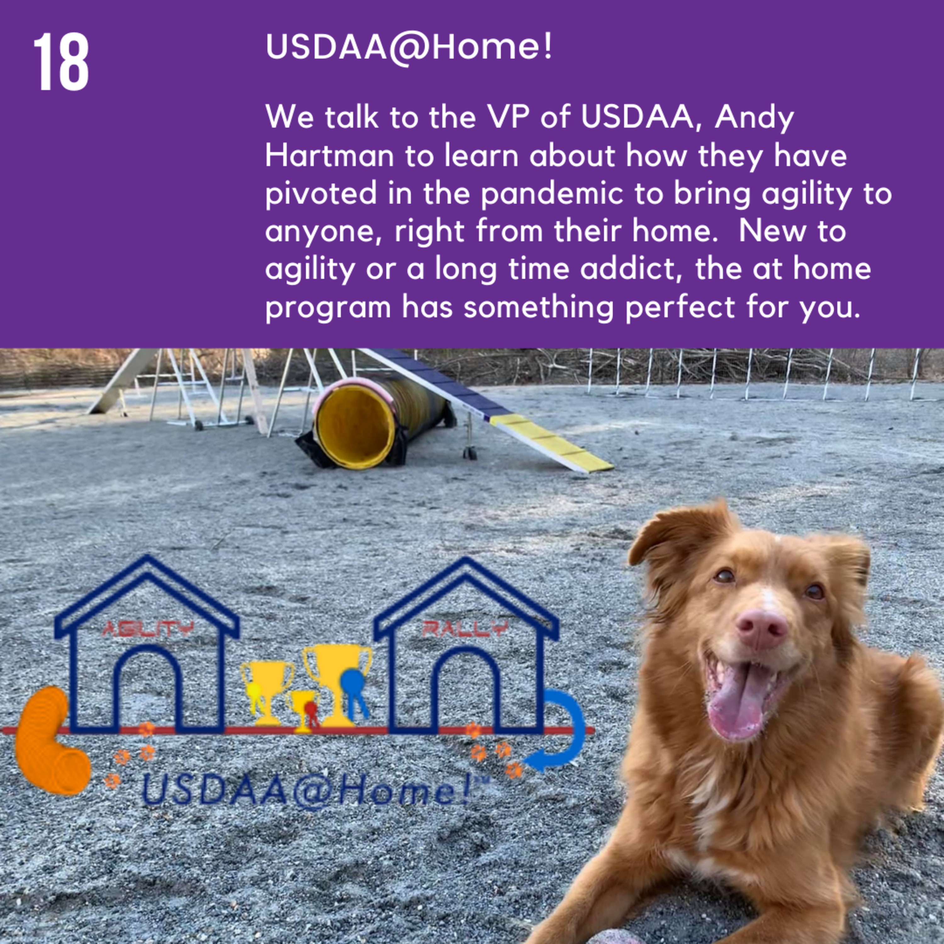 Episode 18 - USDAA@Home! episode artwork