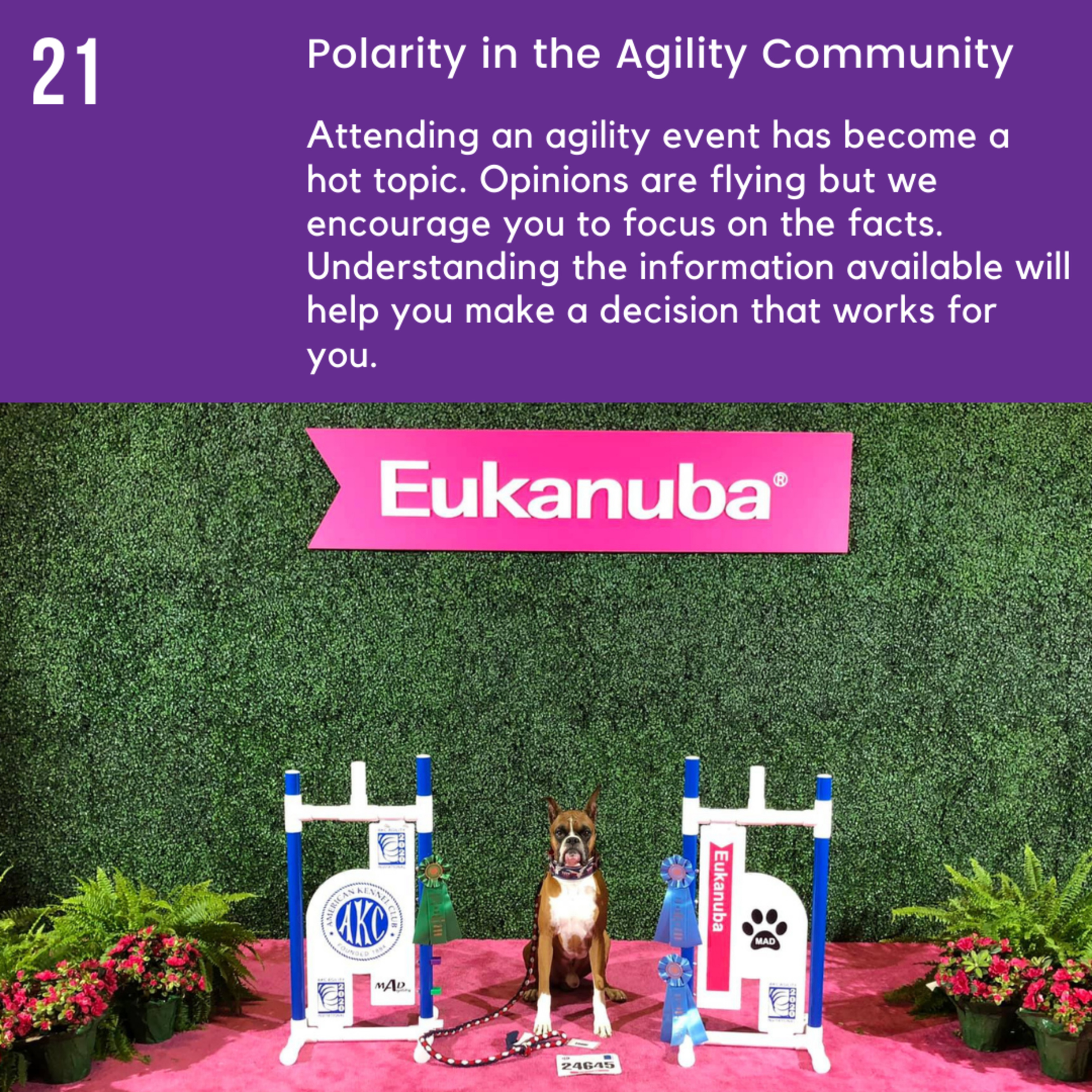 Episode 21 - Polarity in the Agility Community episode artwork