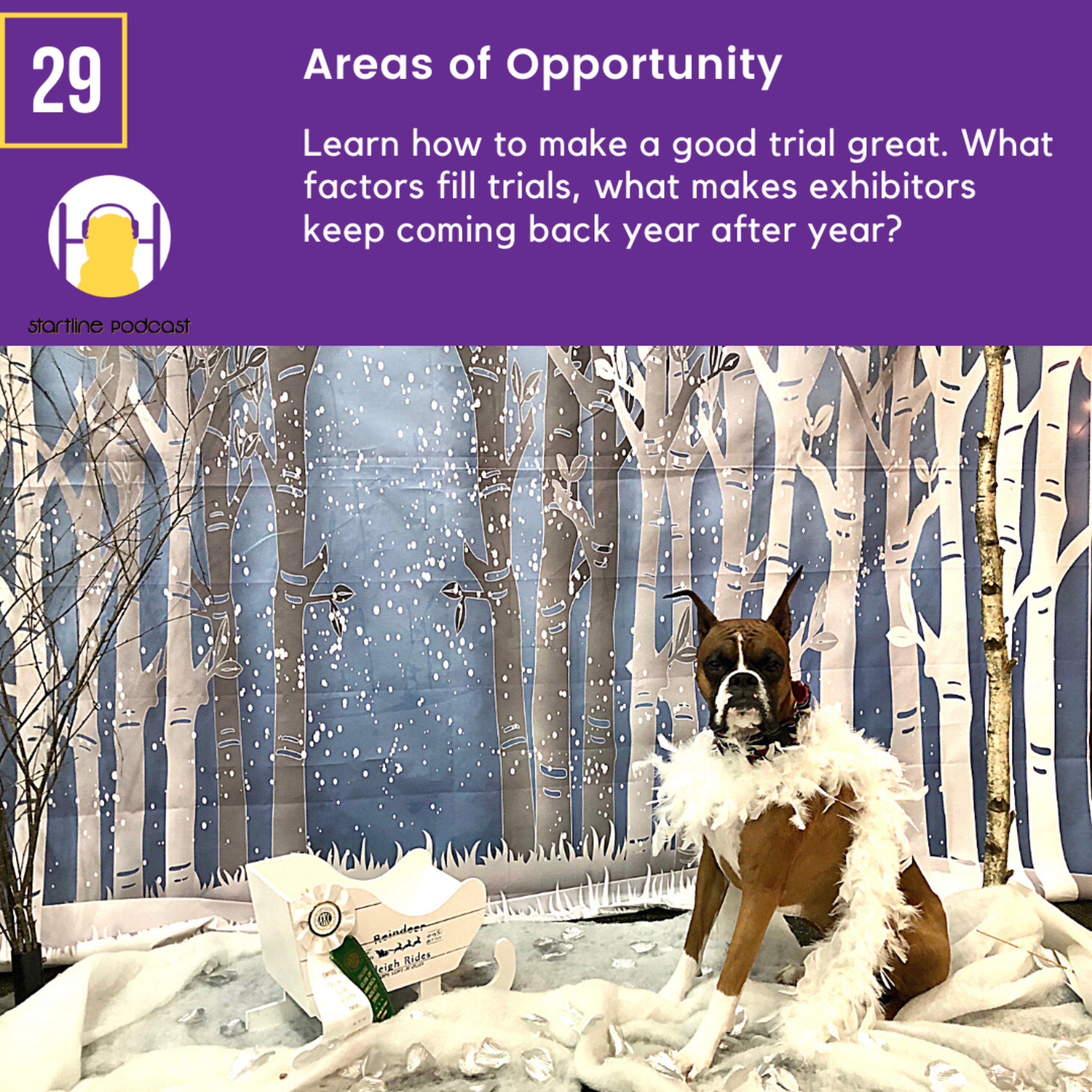 Episode 29 - Areas of Opportunity  episode artwork