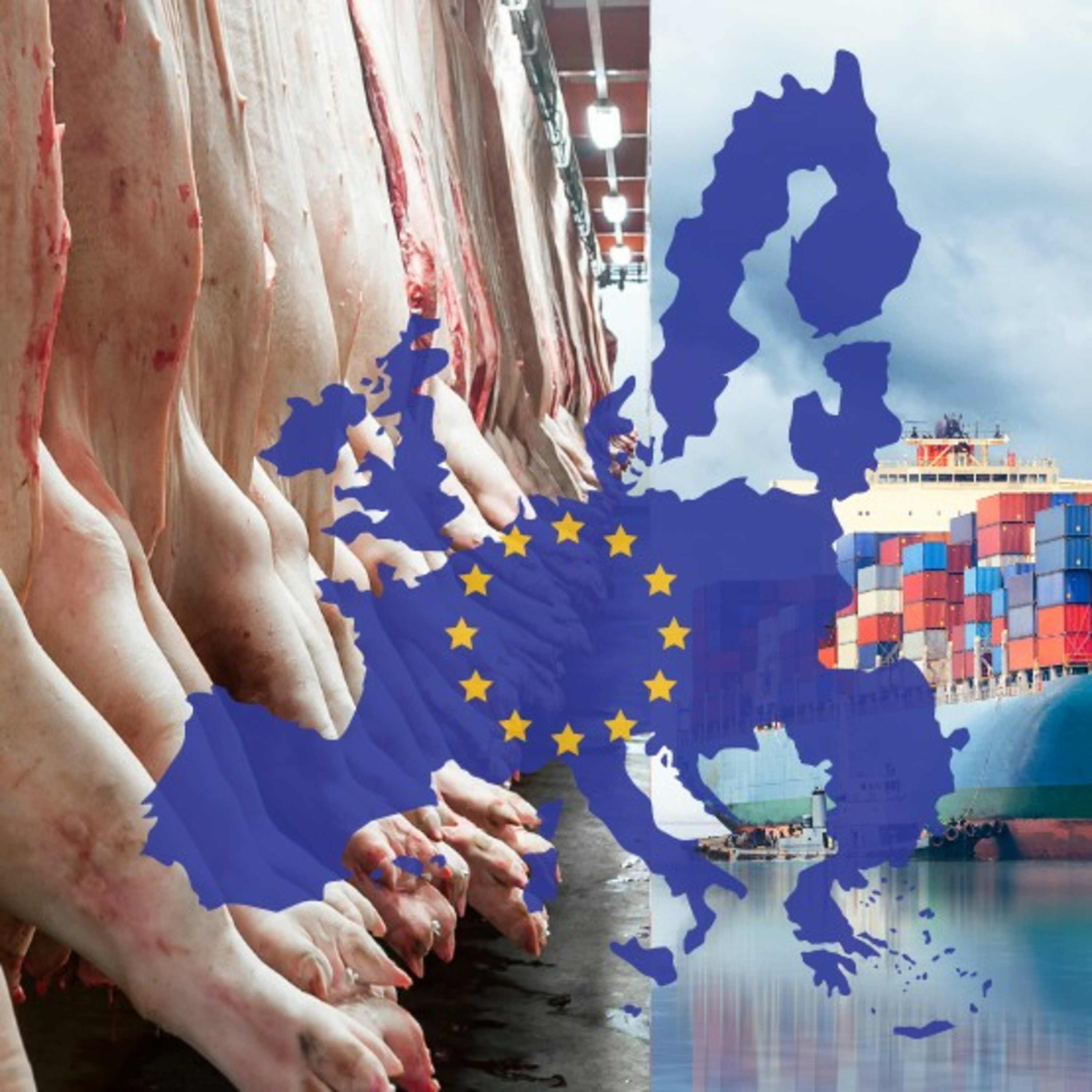 Las exportaciones europeas de carne de cerdo siguen disminuyendo episode artwork
