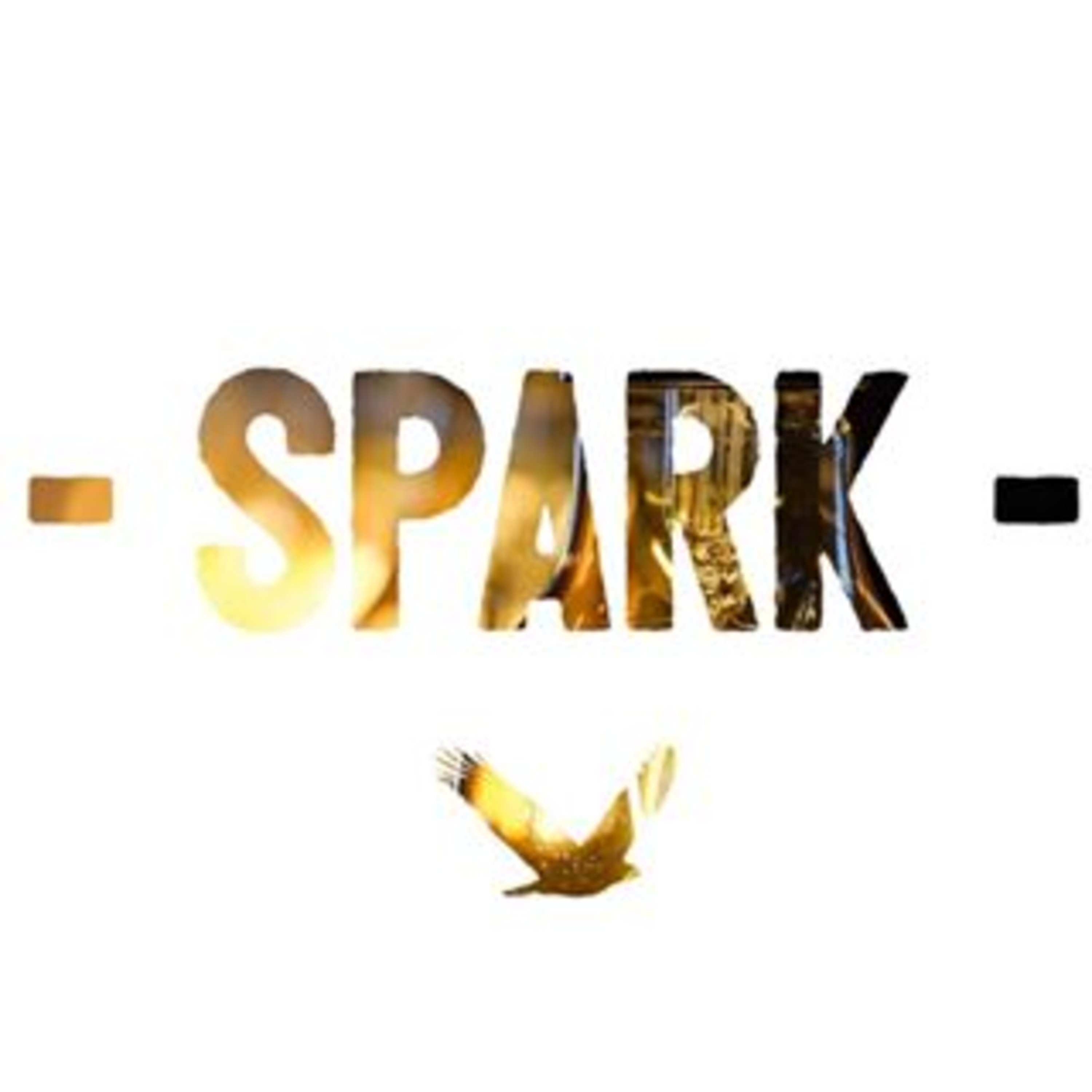 SPARK Youth