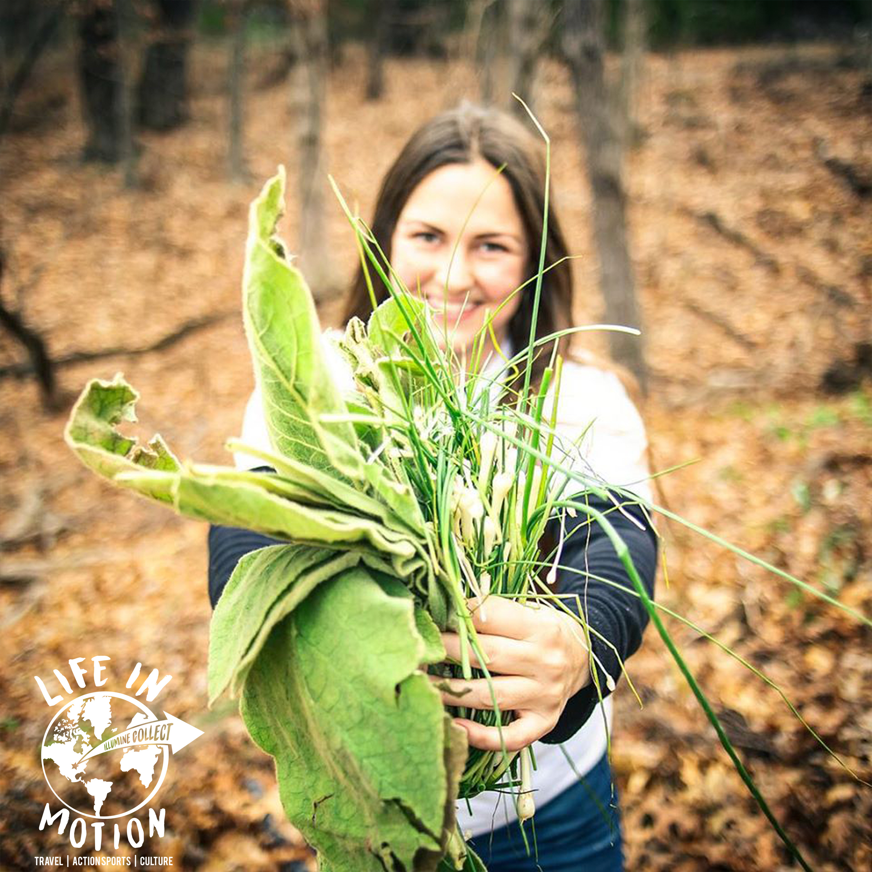 Searching For Goods In The Woods: Foraging and Harvesting with Rachael West of Once Upon A Weed episode artwork
