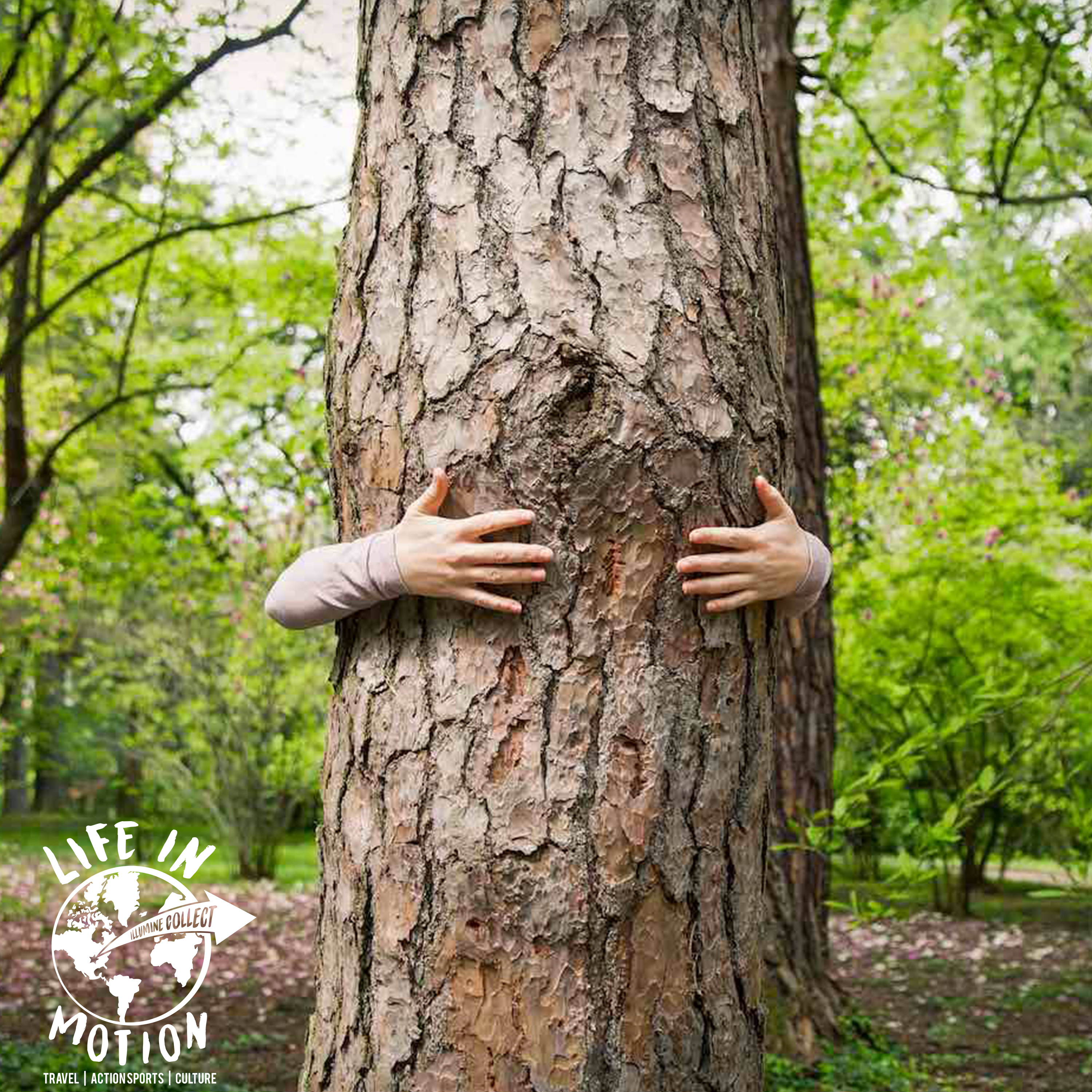 Everyone Has A Role In Environmental Education - Building connections, developing others and sharing the outdoors with Lauren Pyle of Environmental Educators of North Carolina episode artwork