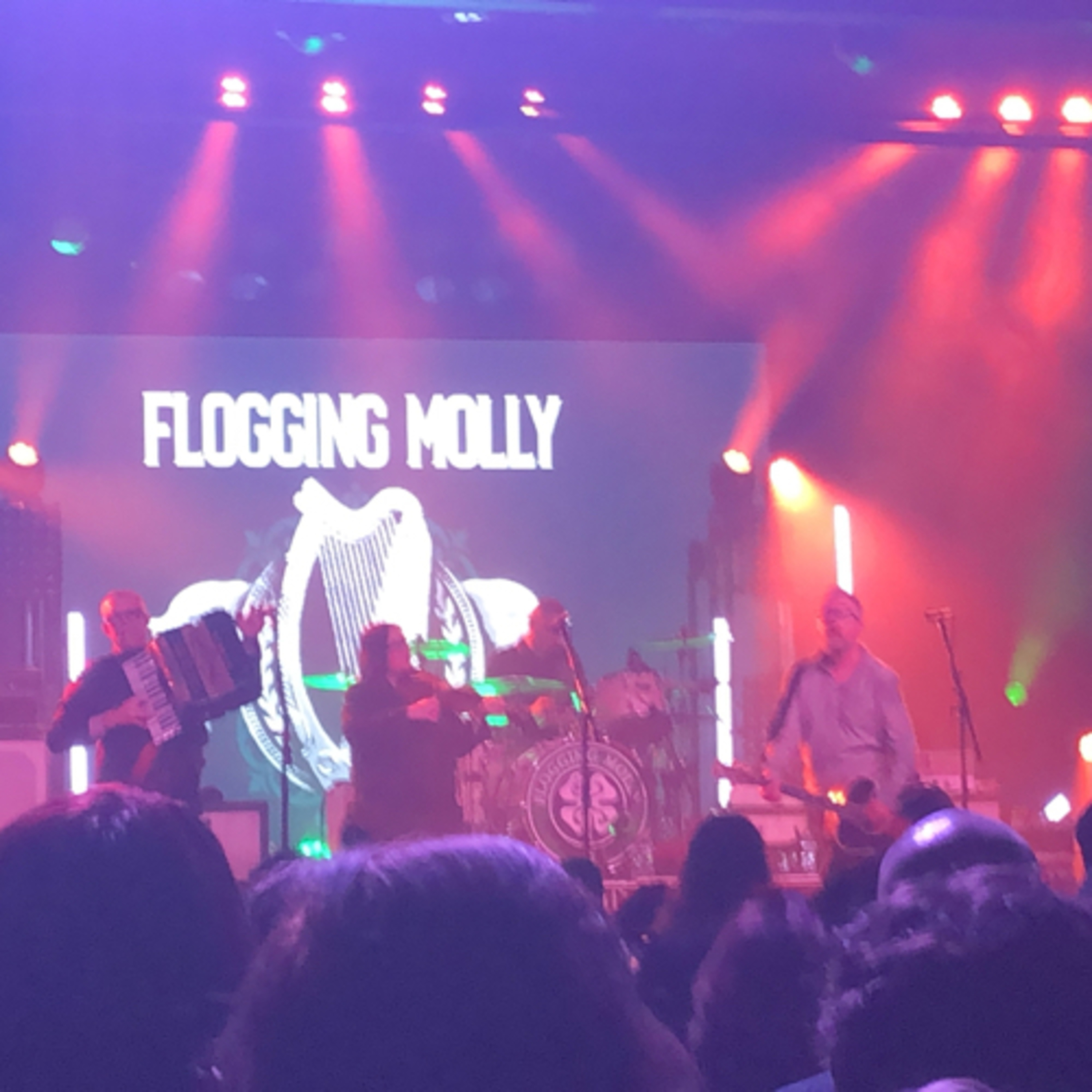 Minisode 3- Back on the road and Flogging Molly episode artwork