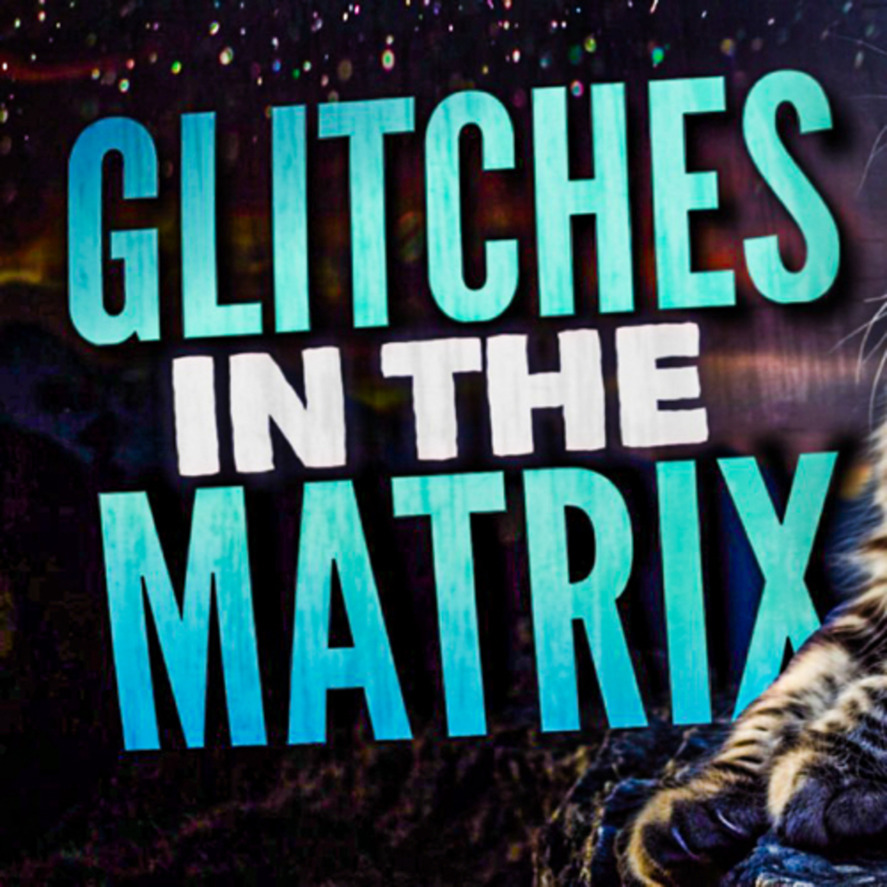 Glitch in the Matrix Podcast with Darek Weber