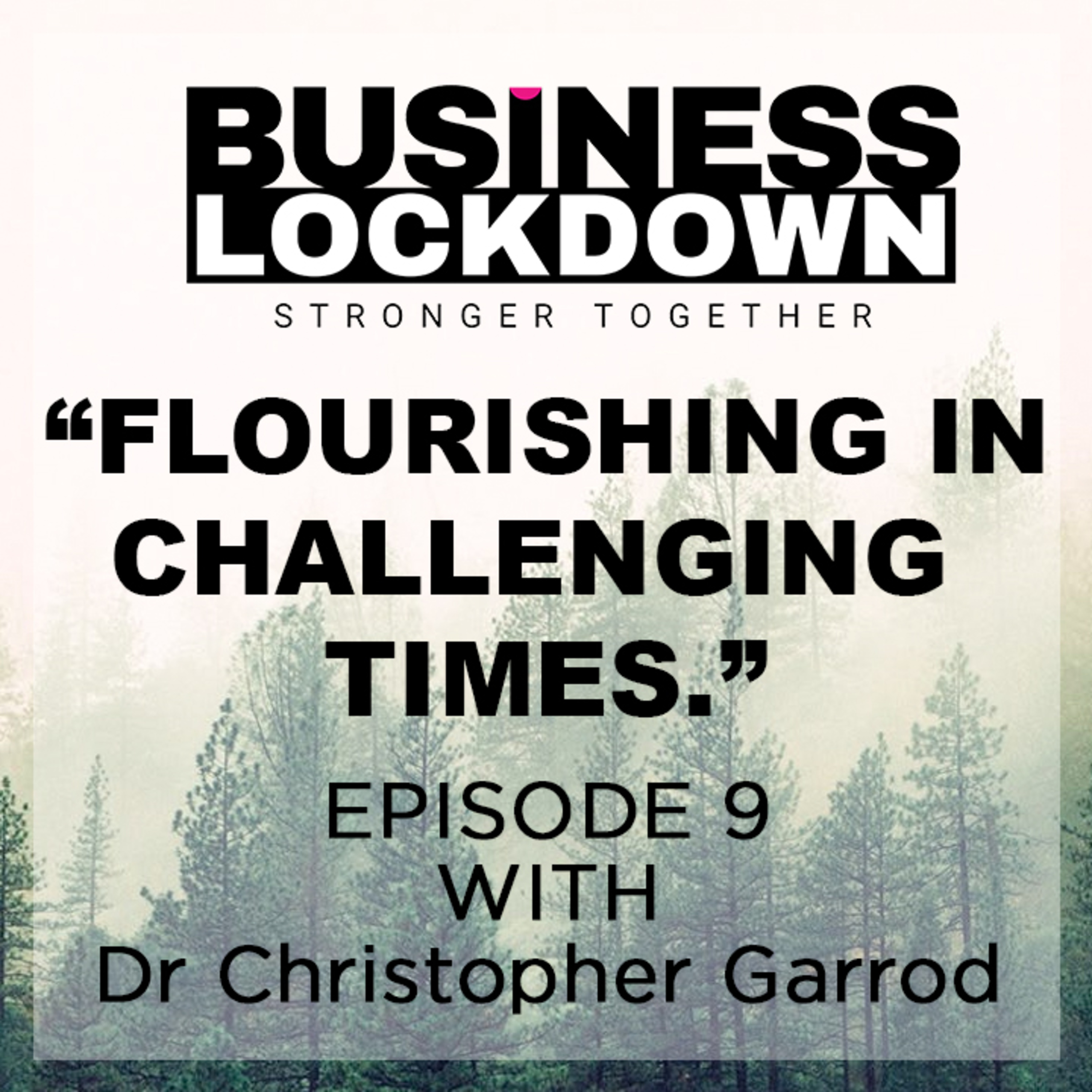 The Business Lockdown Podcast