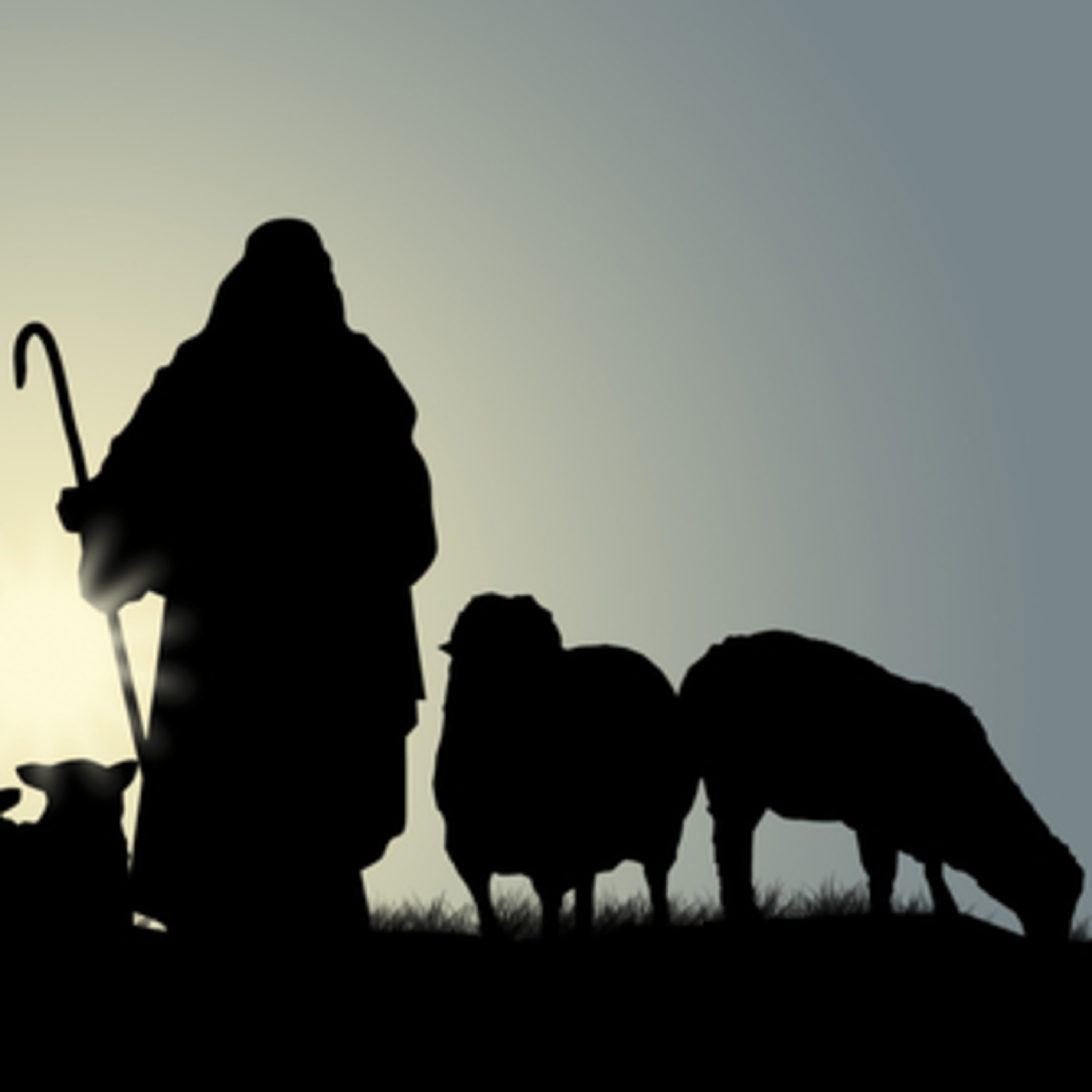 Exploring Your Faith LIVE with Bishop Mark