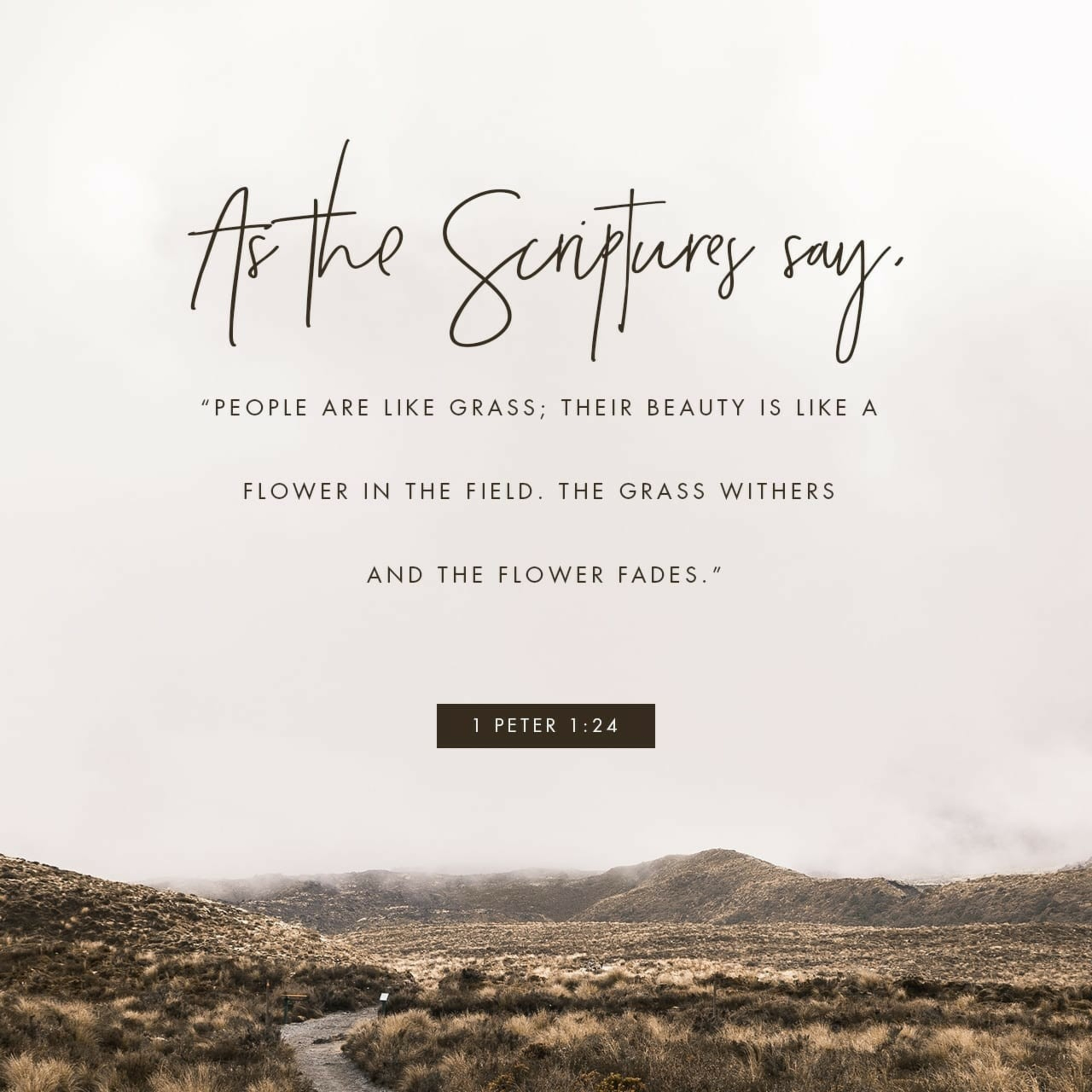 Biblical Hermenutics W5 - Abusing Hebrew & Greek episode artwork