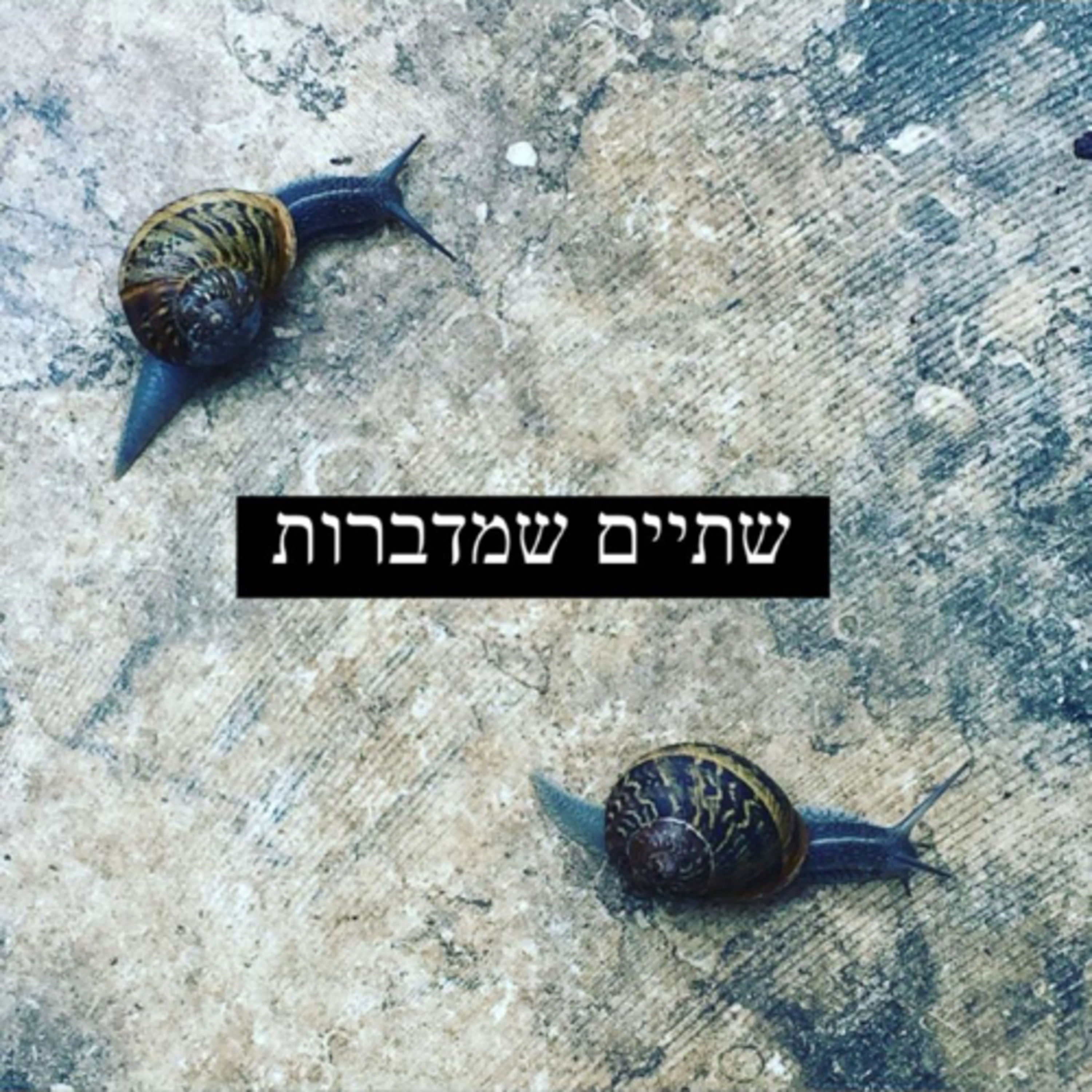 עבודת קריאה / טלי קרק