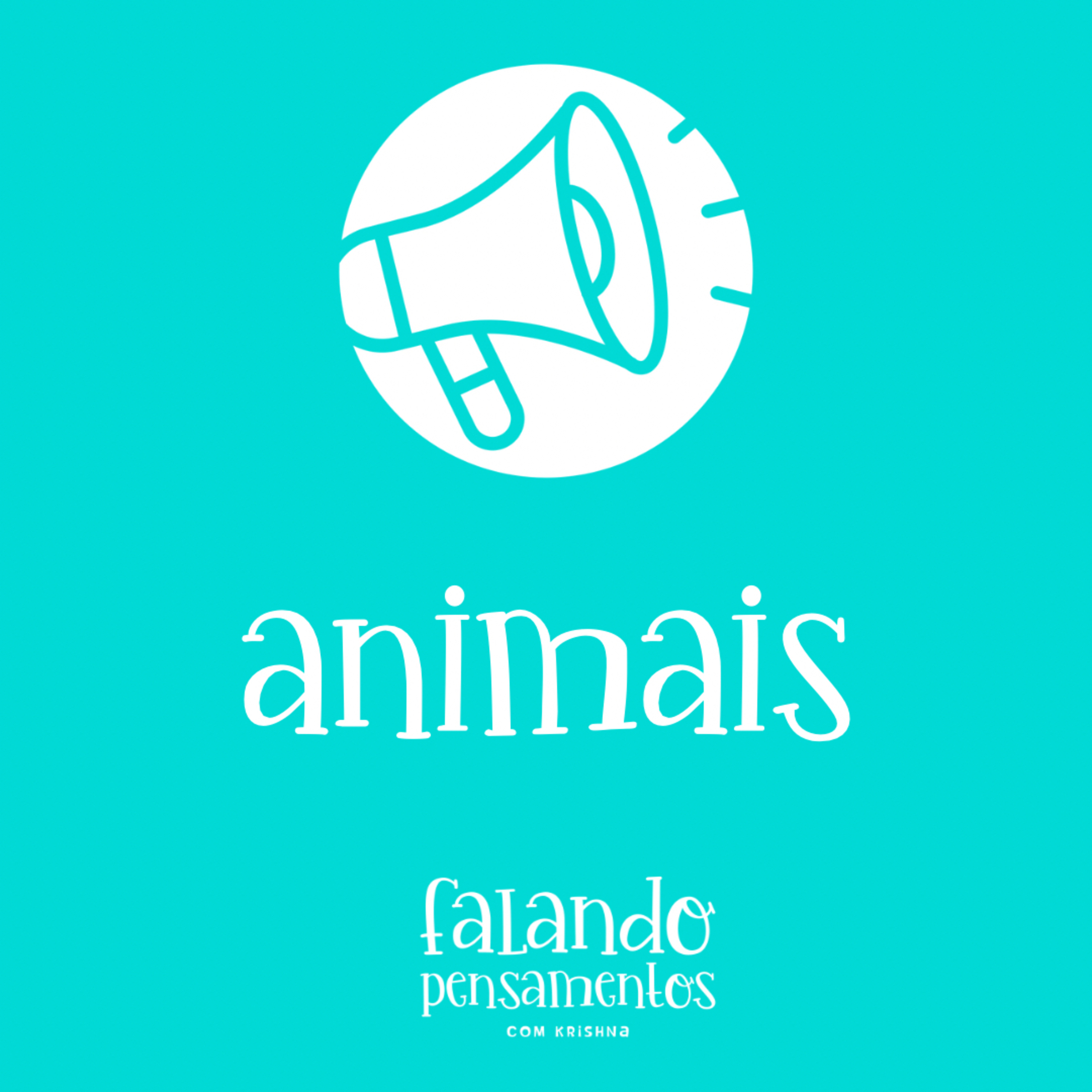 Animais #5 episode artwork
