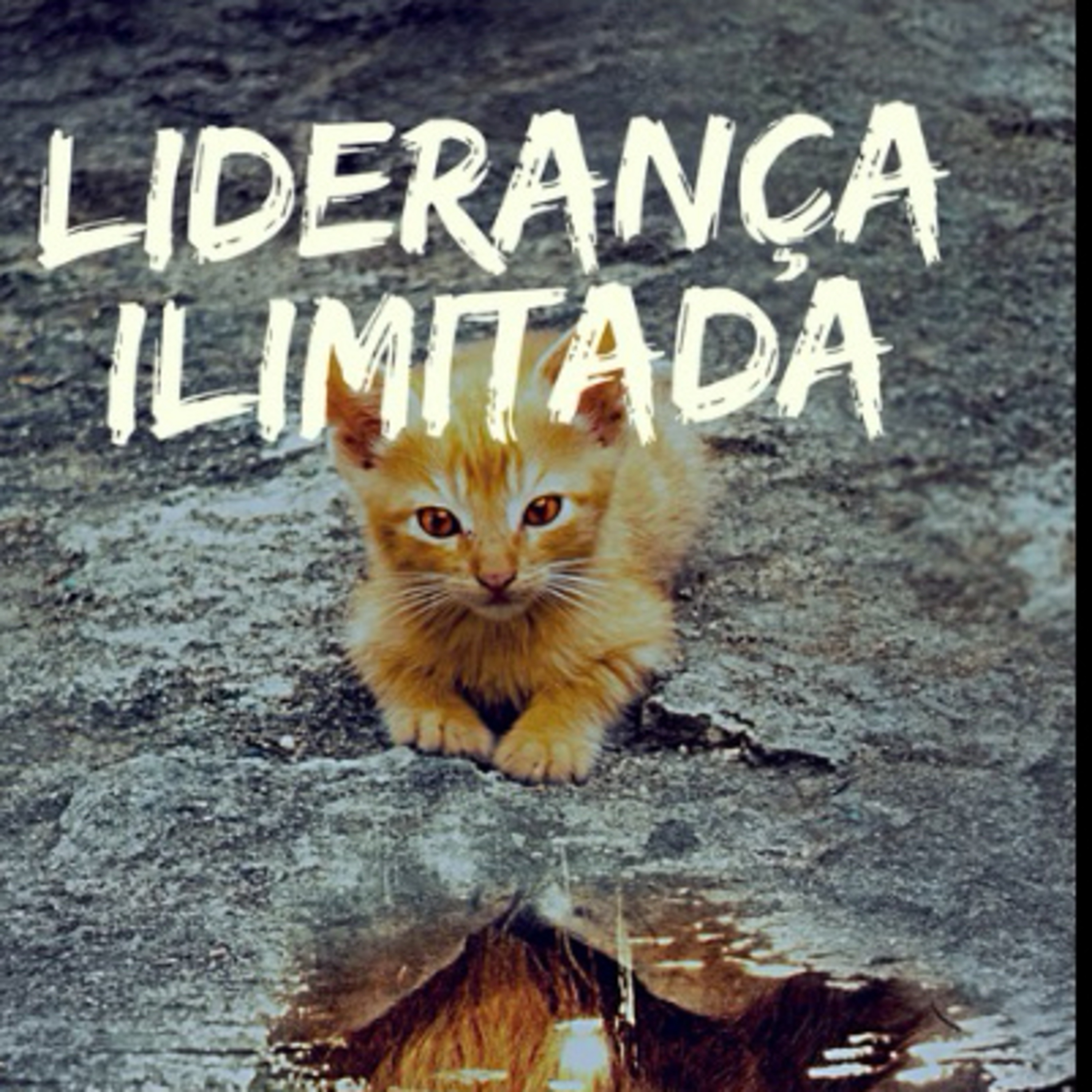 cover of episode Liderança Ilimitada - Marco Oliveira - Audiobook (Amostra)