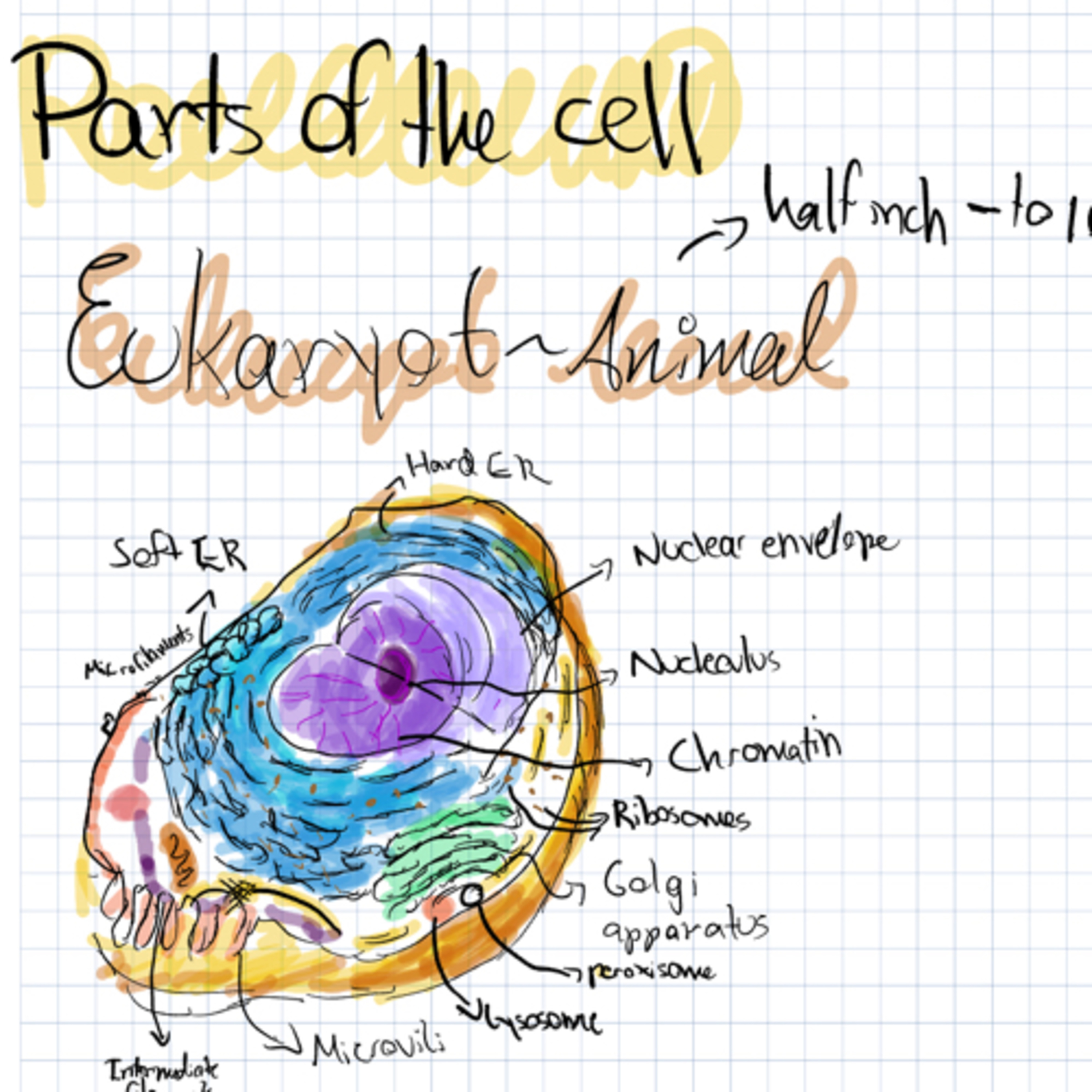 The origin of cells - Episode 5# episode artwork