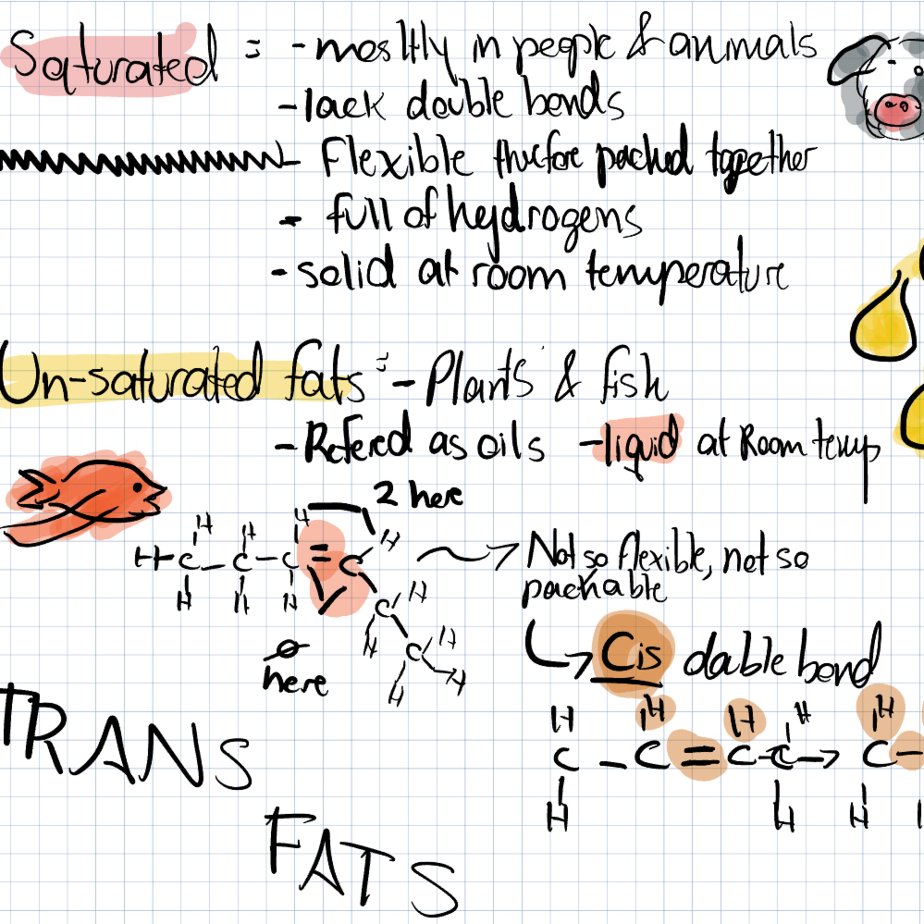 Lipids and Carbs - Episode 9# episode artwork