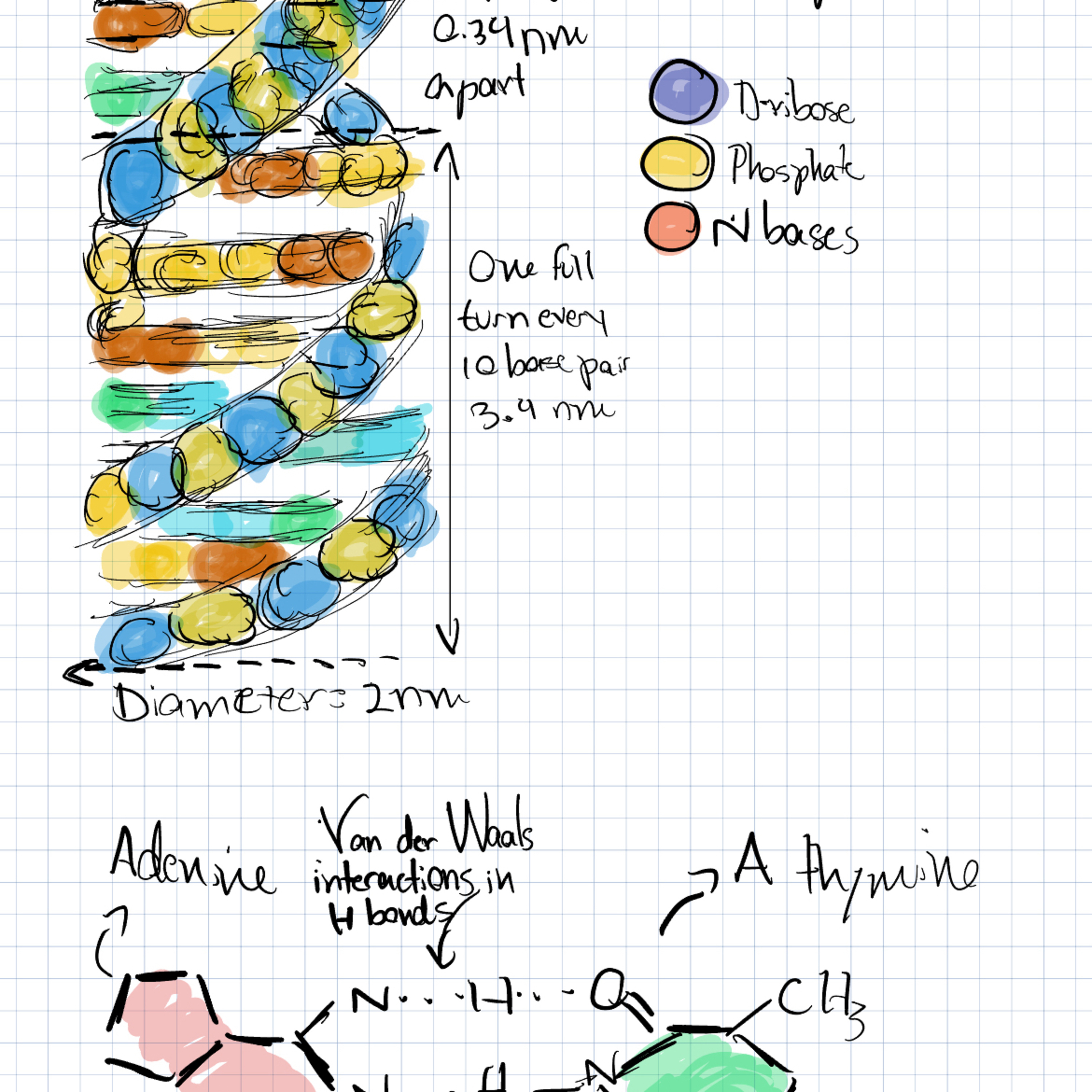 Nucleotides episode artwork