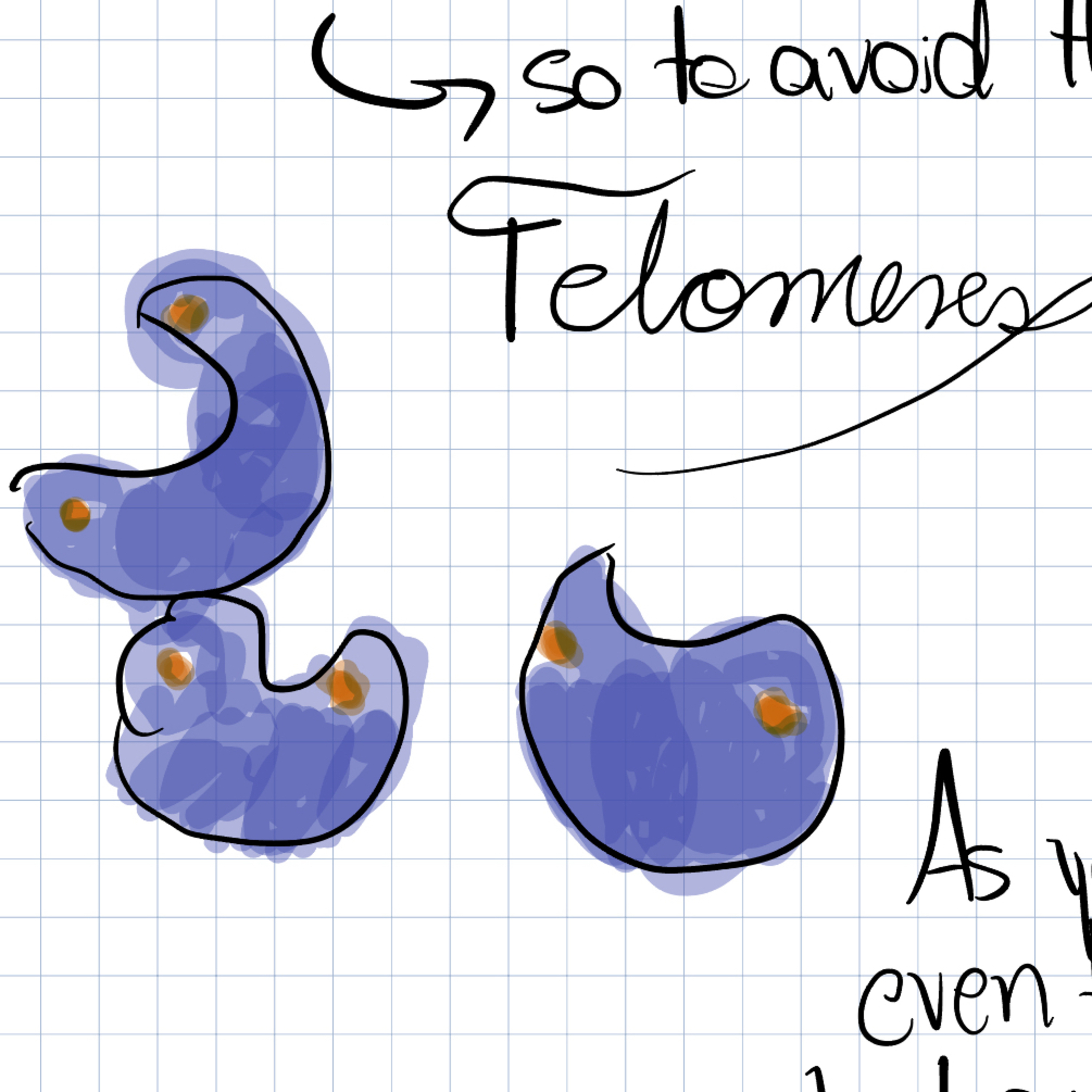 Chromosomes - Episode 14# episode artwork