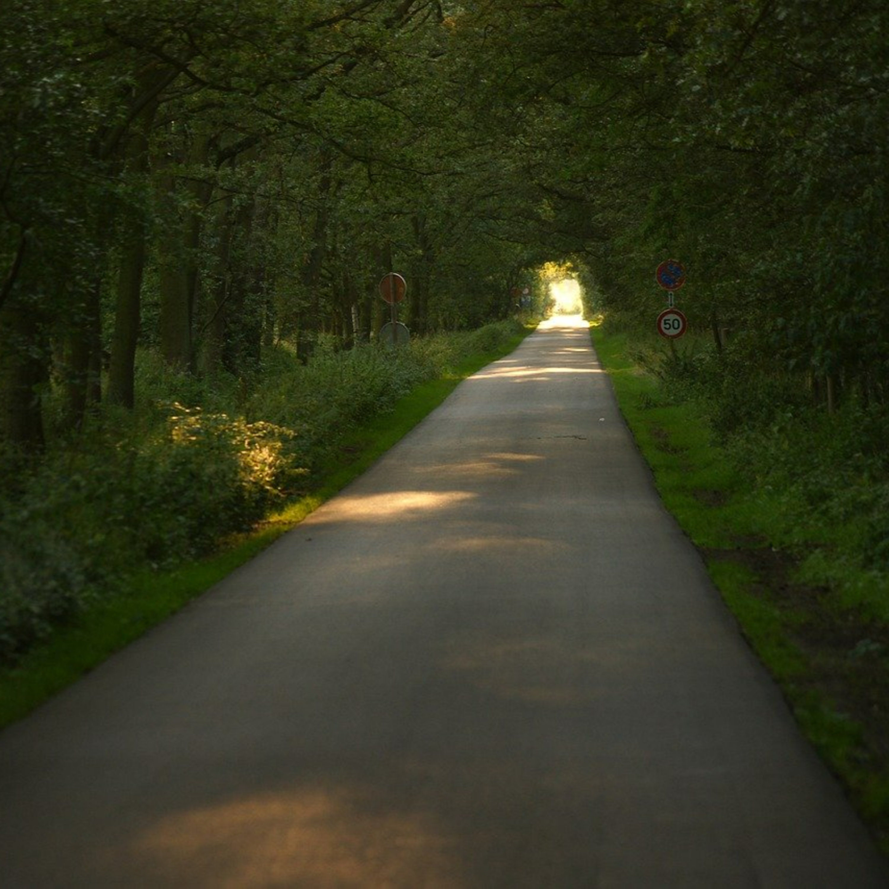 2022-07 Walking The Road episode artwork